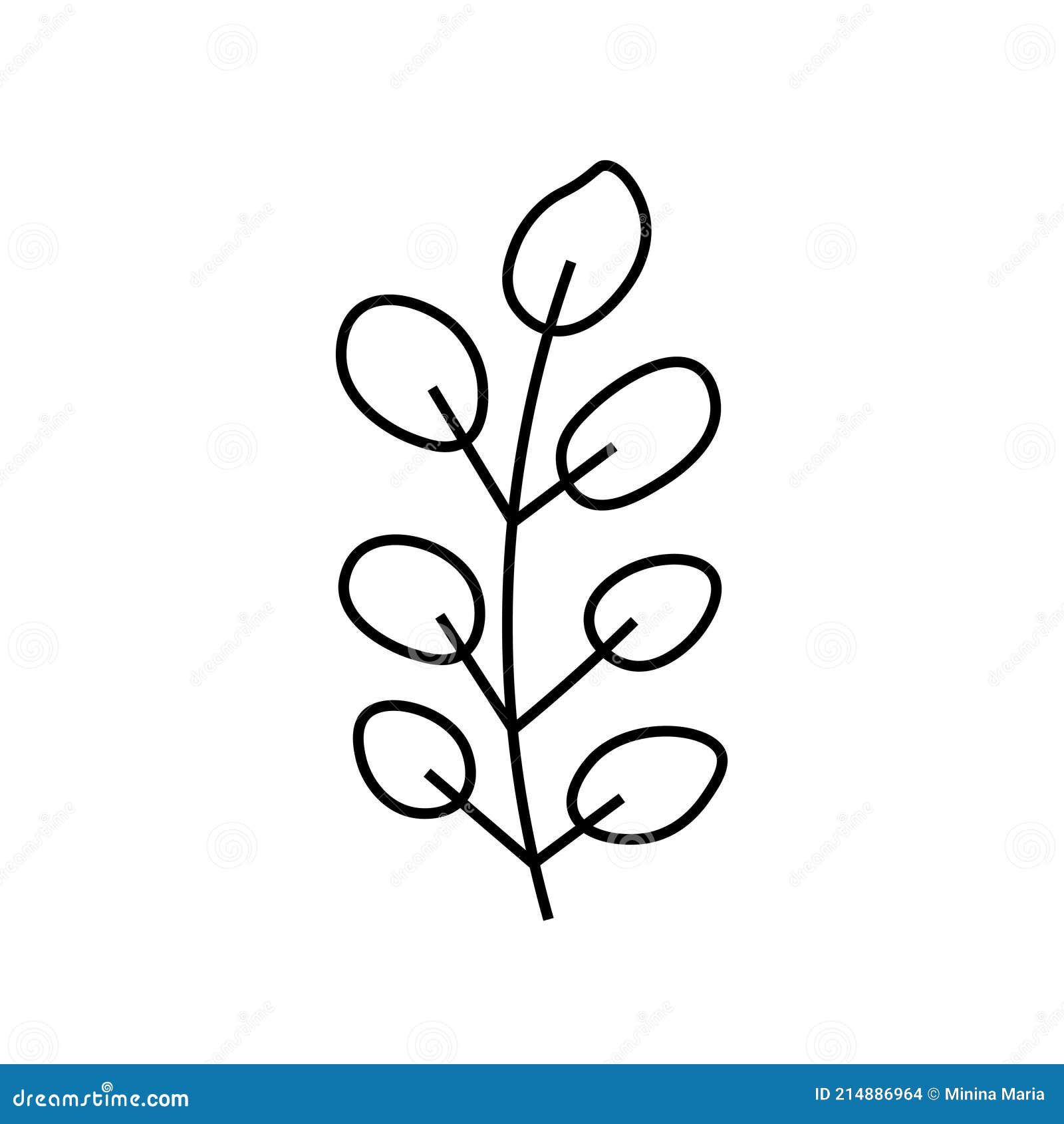 Vector Minimalist Plant Eucalyptus Leaf with a Black Line.One Autumn ...