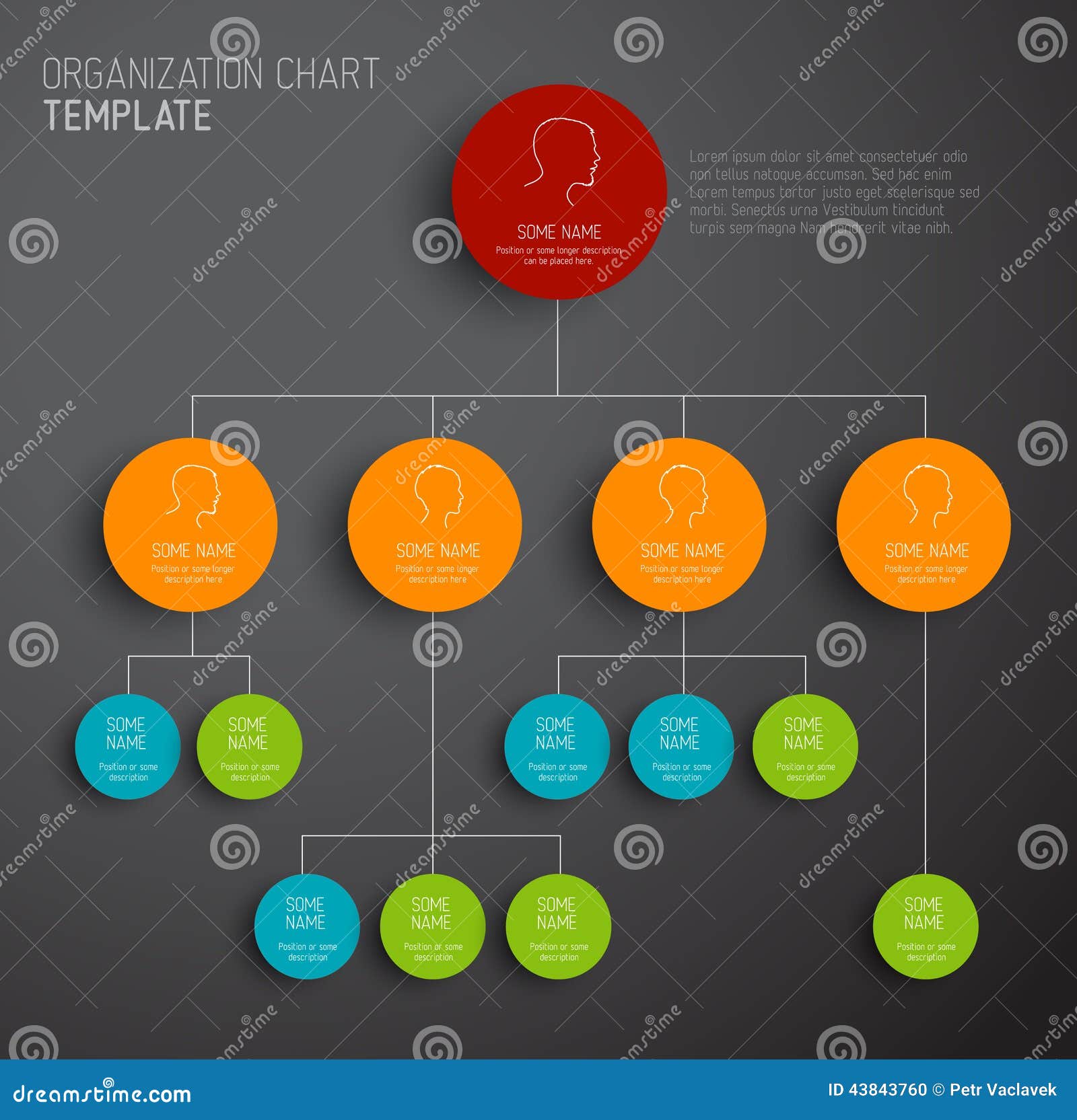 organization chart template