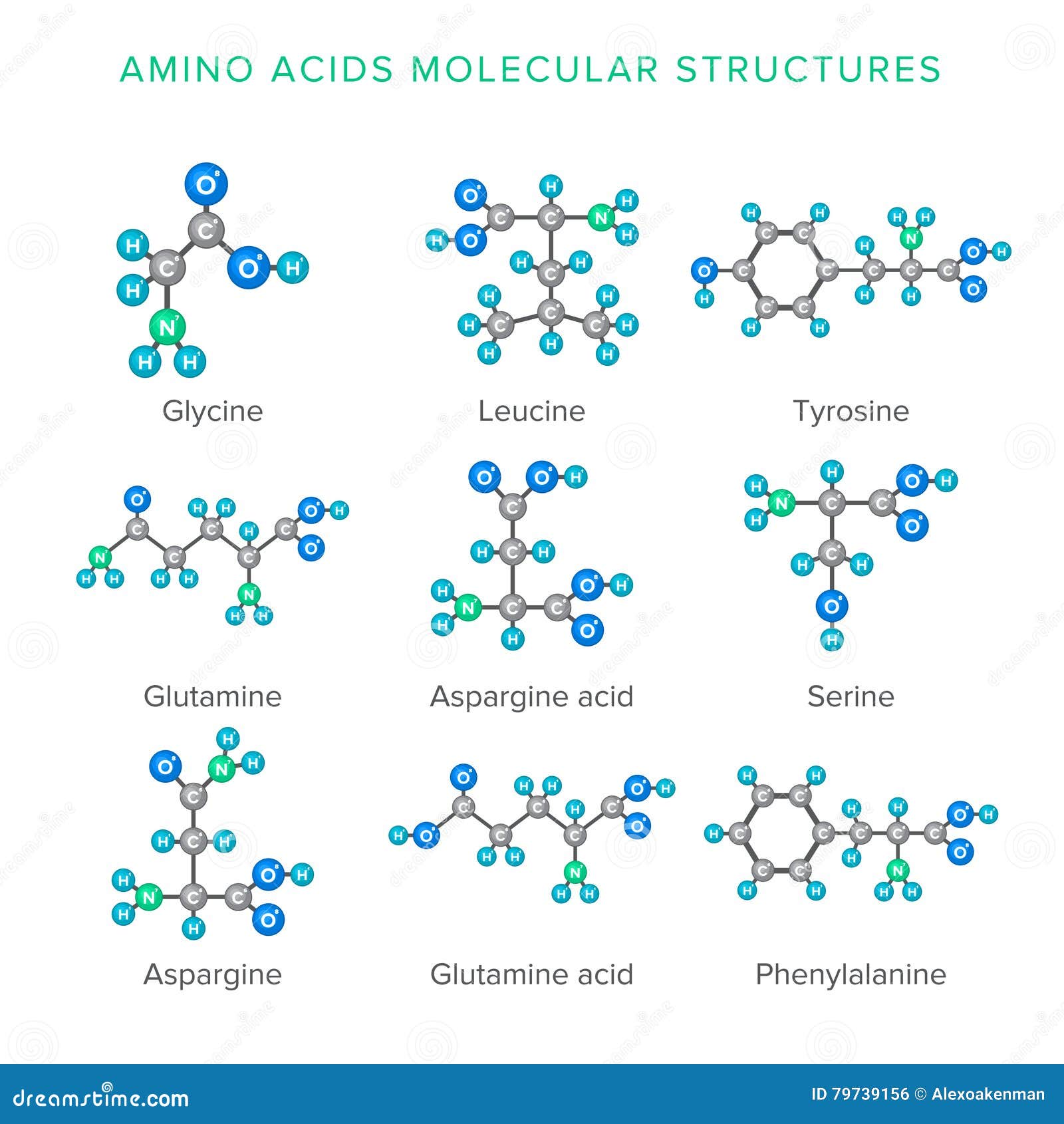  molecular structures of amino acids  on white set