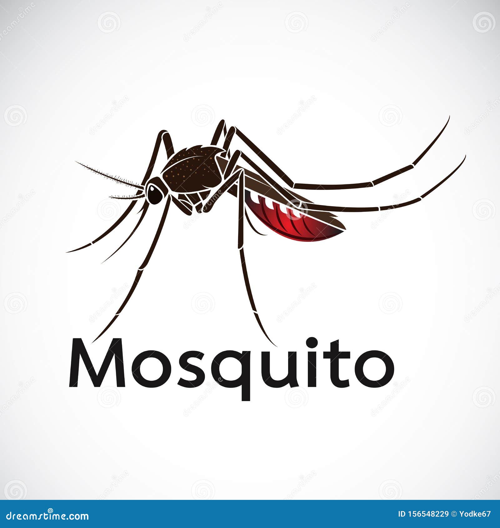 Download Vector Of A Mosquito Design On White Background. Insect ...
