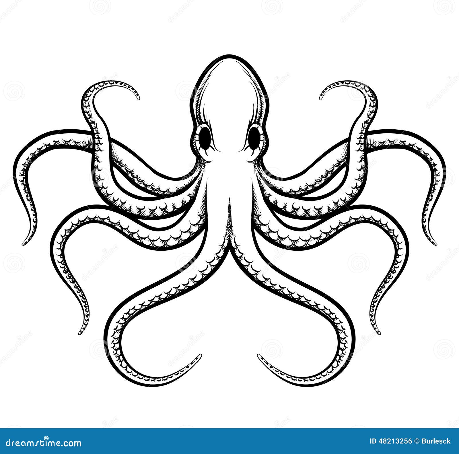 Vector Octopus Illustration Stock Vector Image 48213256