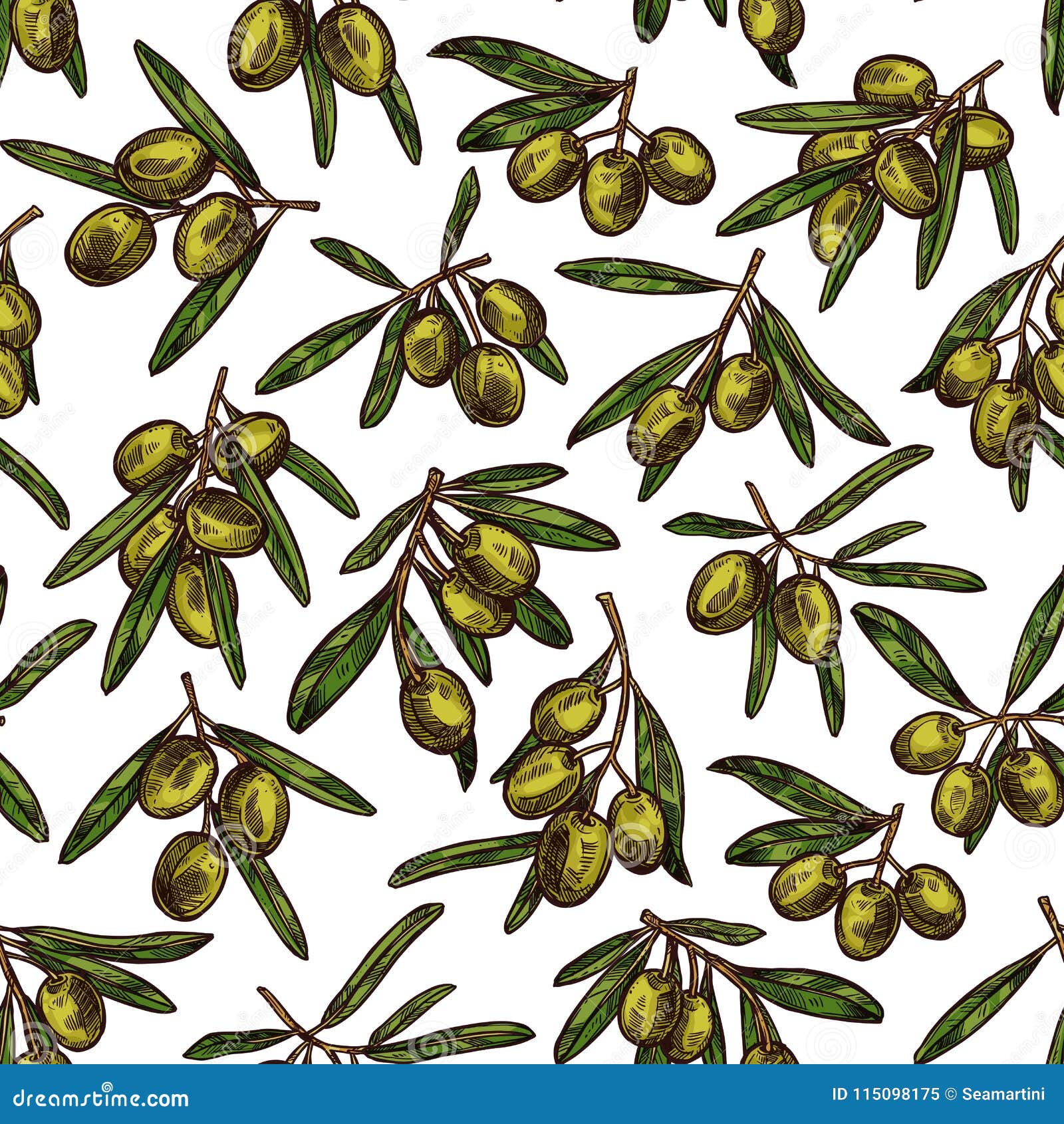 Vector Olives Sketch Pattern Background Stock Vector - Illustration of