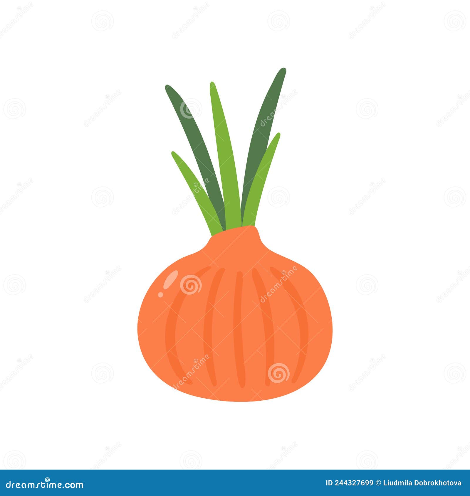 Whole Onion on a White Background. Color Illustration Stock Vector