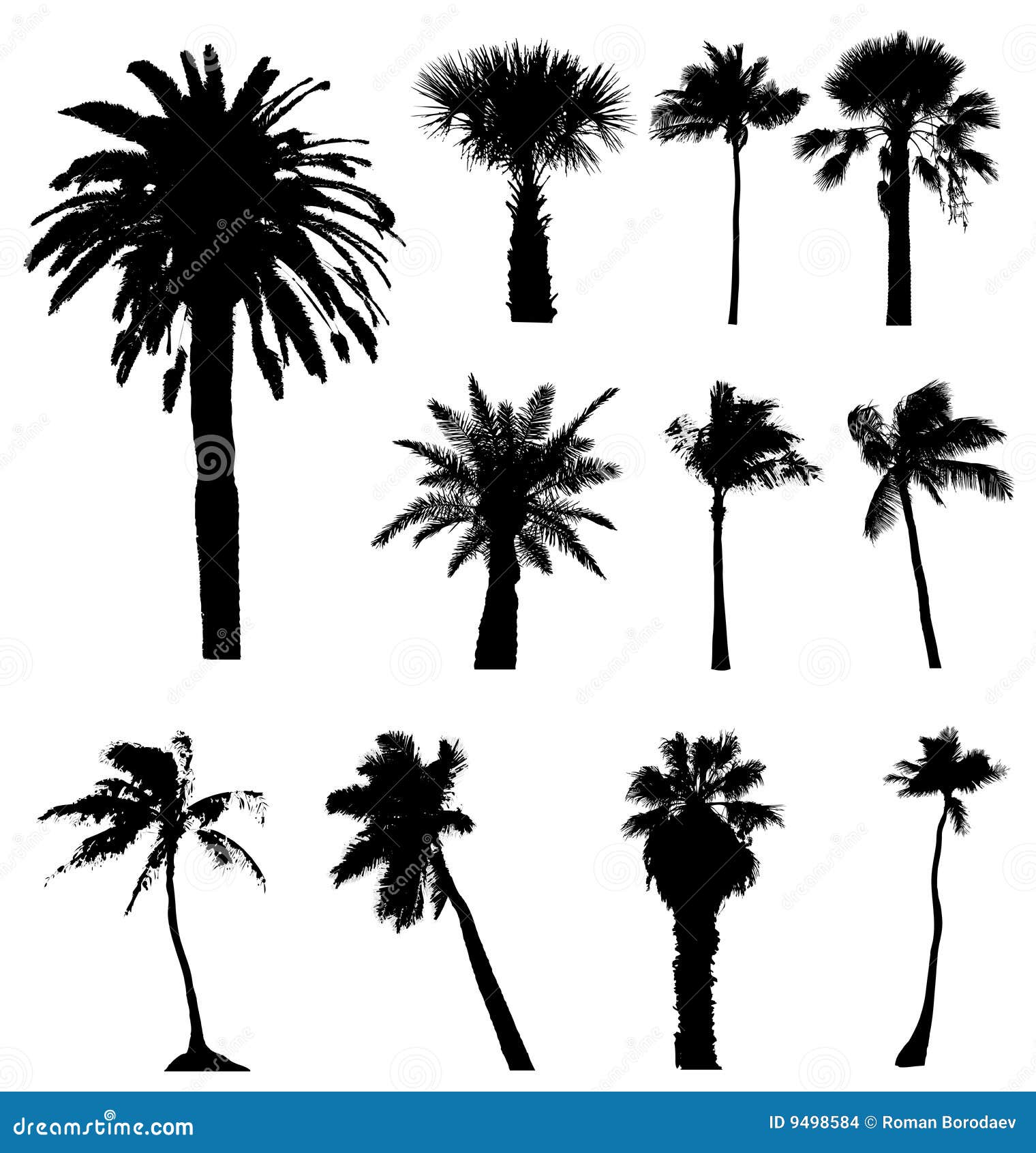  palm trees silhouettes  on white background, palms tree palmtree palmtrees silhouette s tropical urban leaves