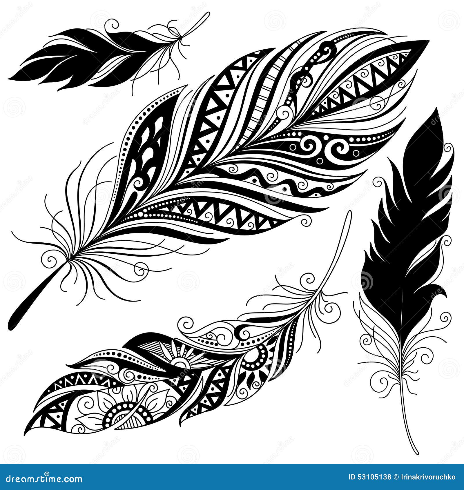 Vector Peerless Decorative Feather Stock Vector Illustration of