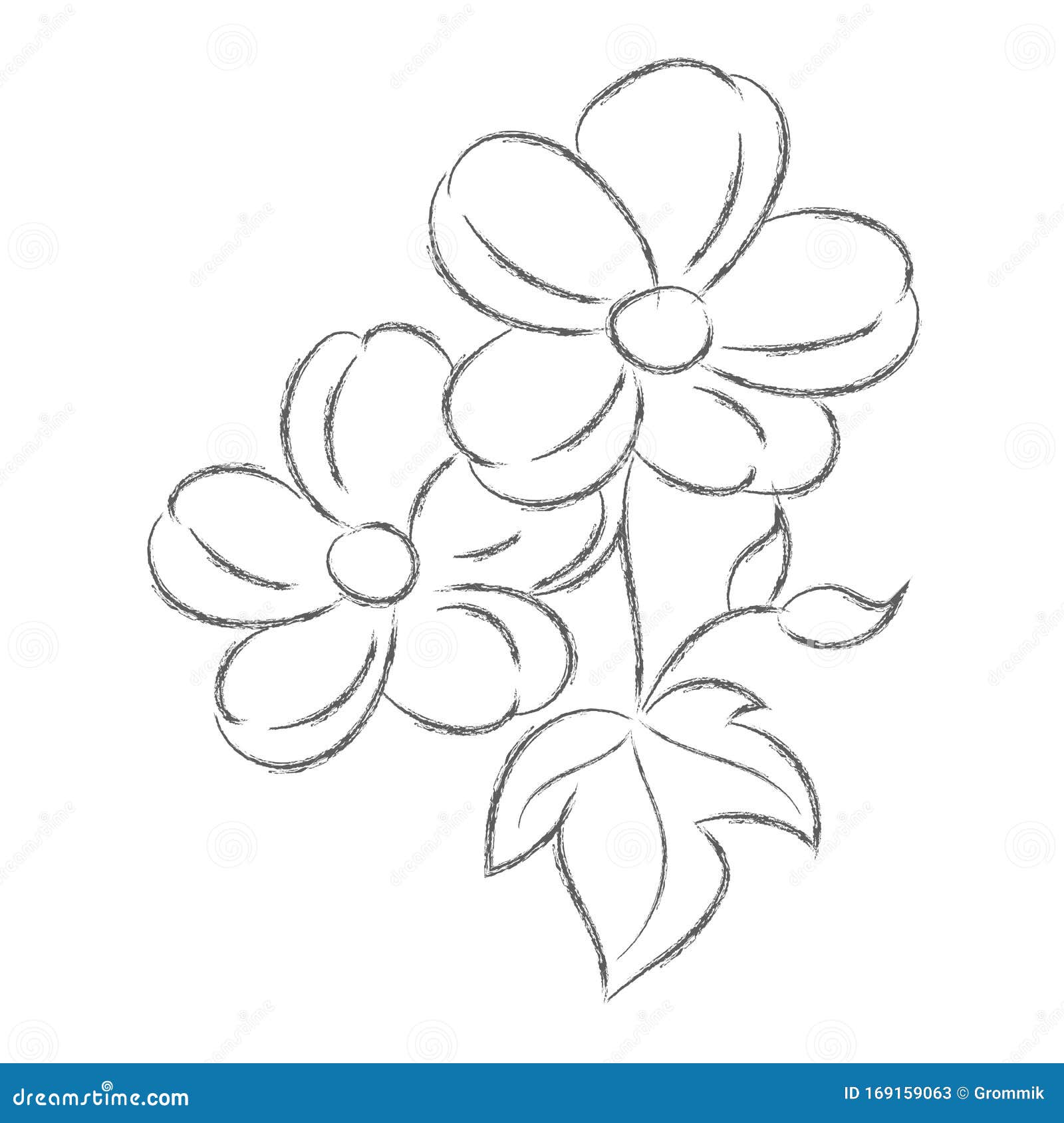 Pencil drawing a flower with leaves isolated Vector Image