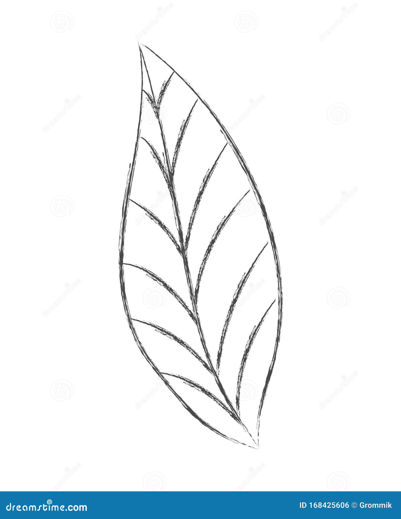 Simple Leaf Simple Leaf Drawing Simple Leaf Outline PNG, Clipart, Cut  Flowers, Floral Design, Flower, Leaf,