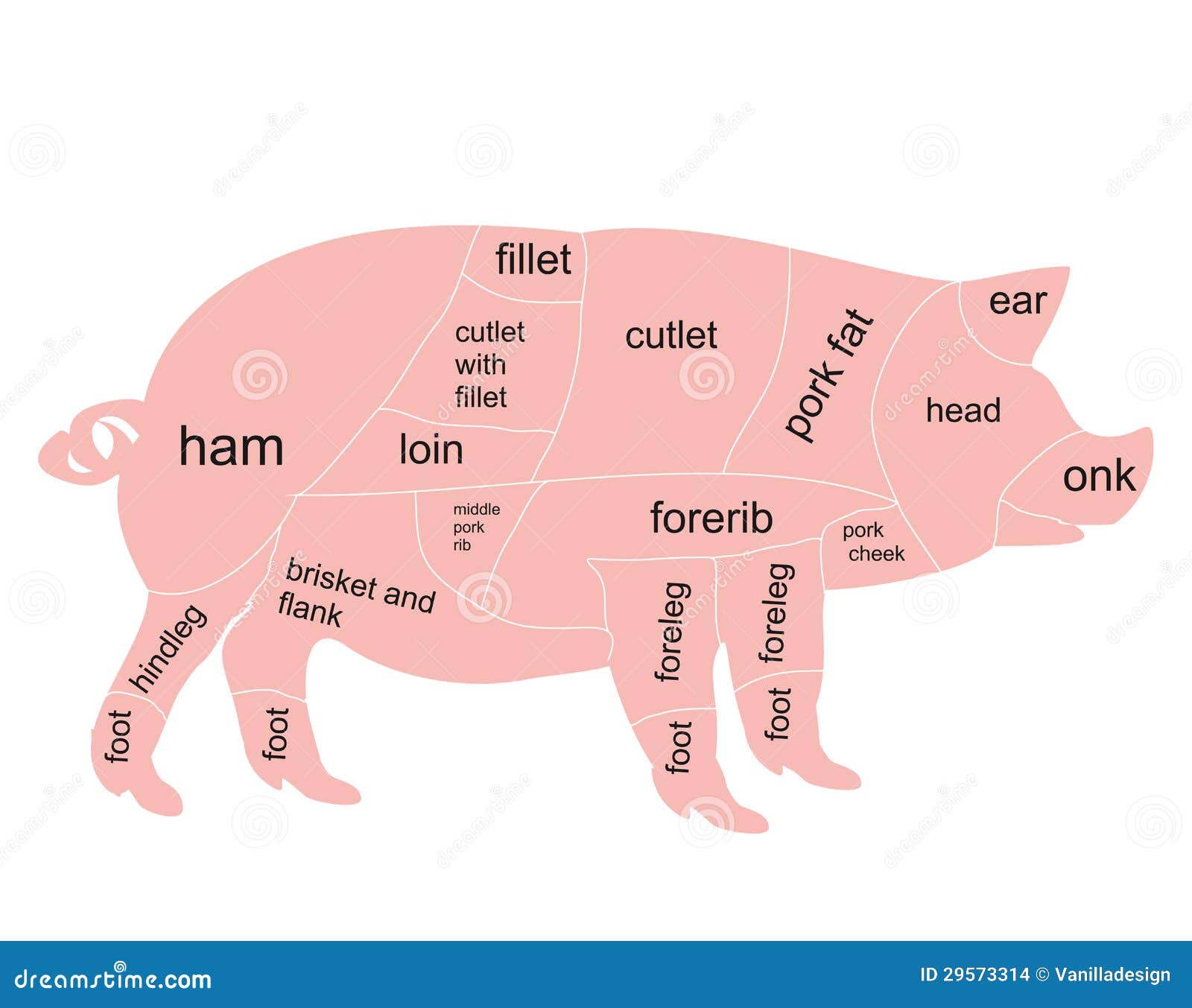 Vector Pork Chart Stock Images - Image: 29573314