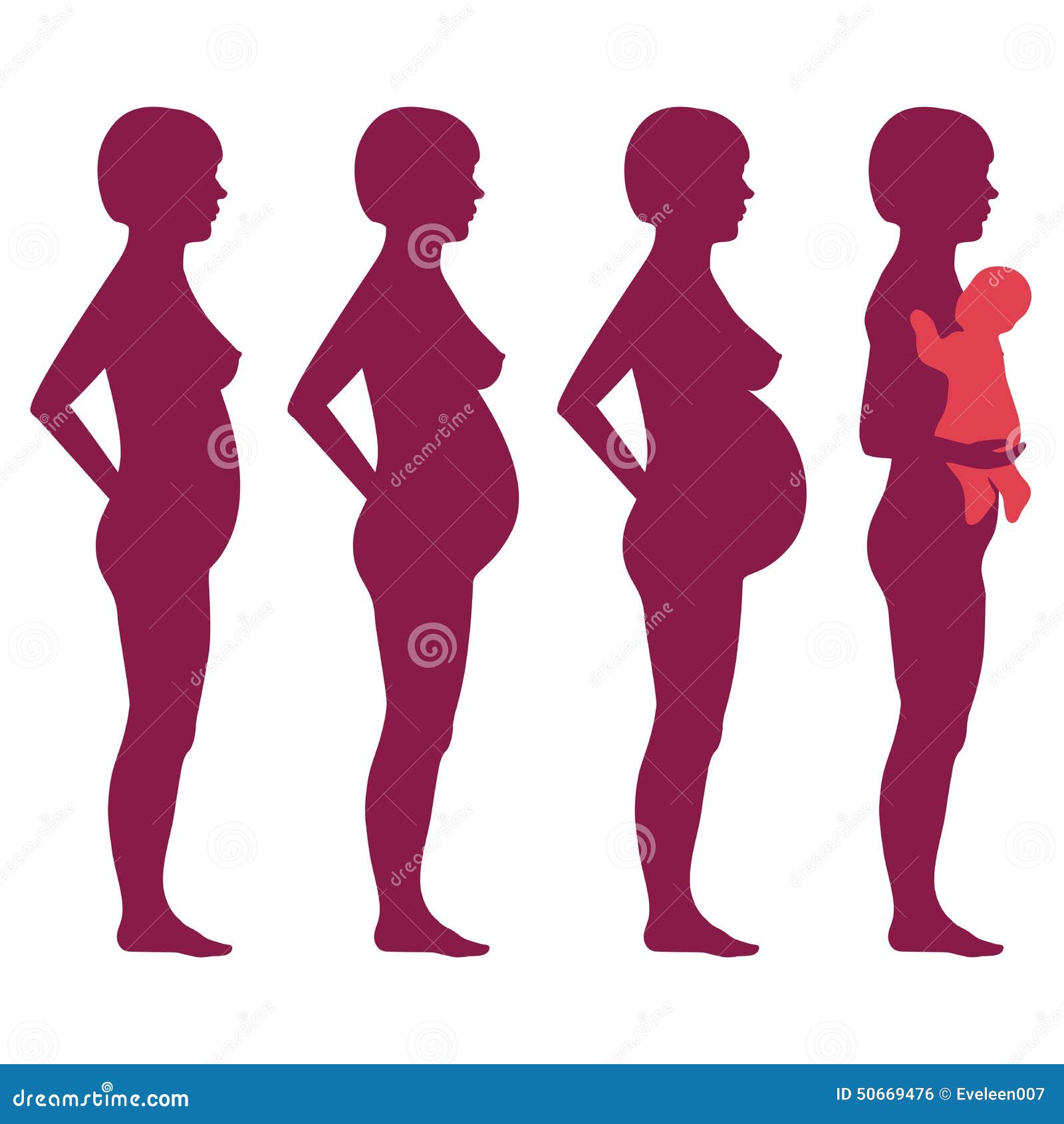 956 Stages Pregnancy Stock Illustrations, Vectors & Clipart