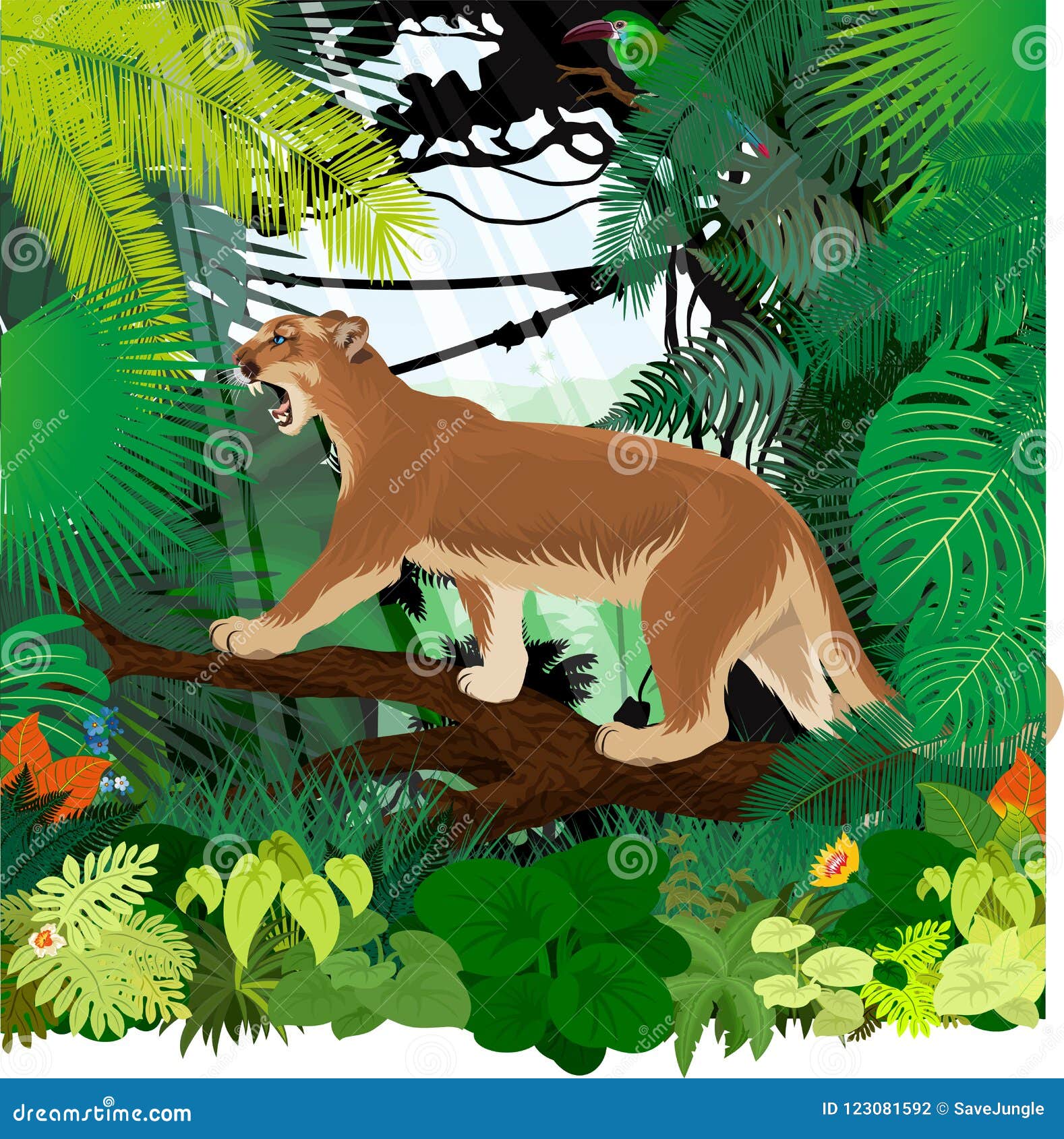 Vector Puma Cougar or Mountain Lion and Crimson-rumped Toucanet in Jungle Rainforest Stock Vector - Illustration of hunter,