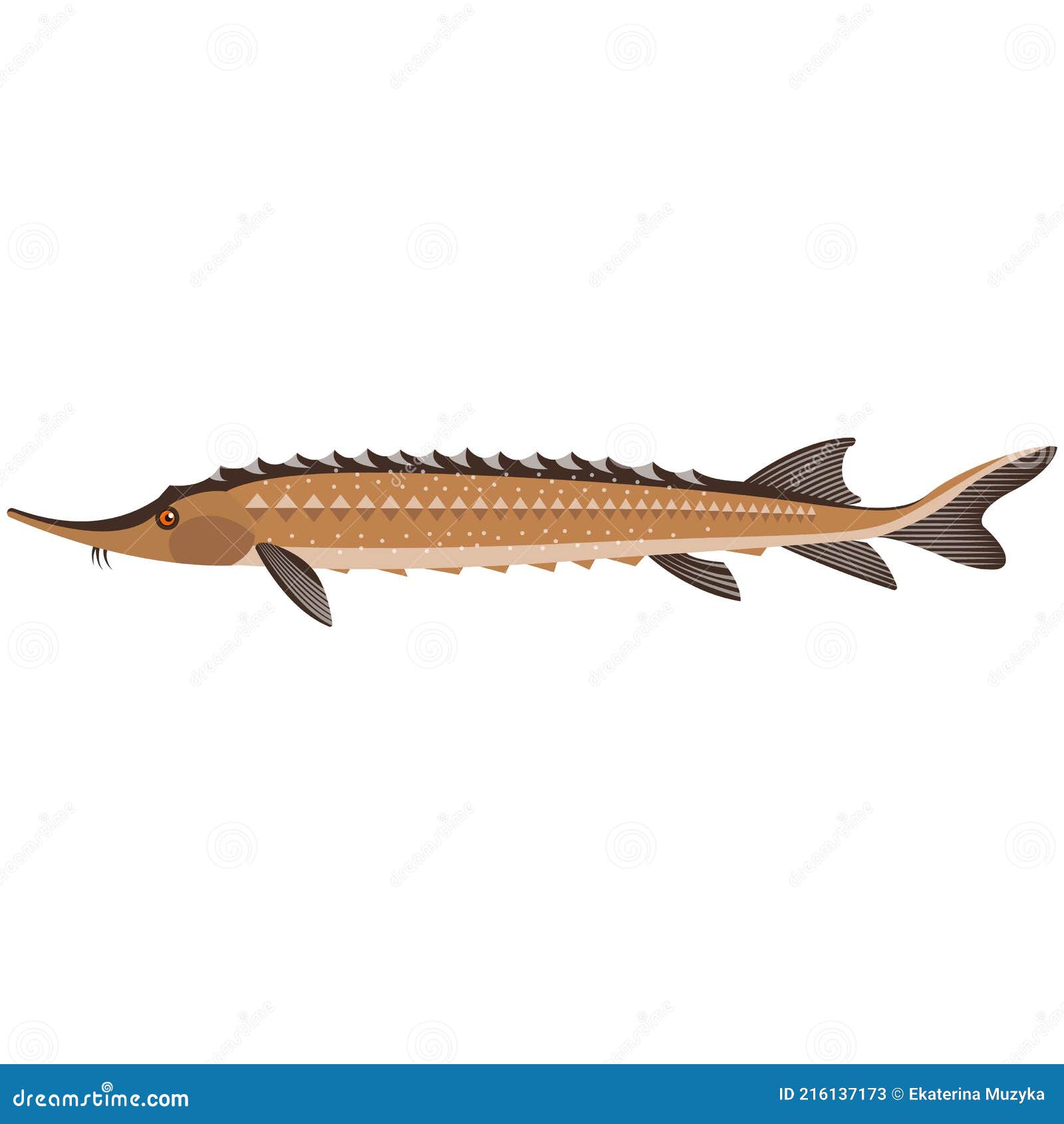 Vector Rare Kaluga Spike Fish Freshwater Species Illustration Stock Vector  - Illustration of vector, aqua: 216137173