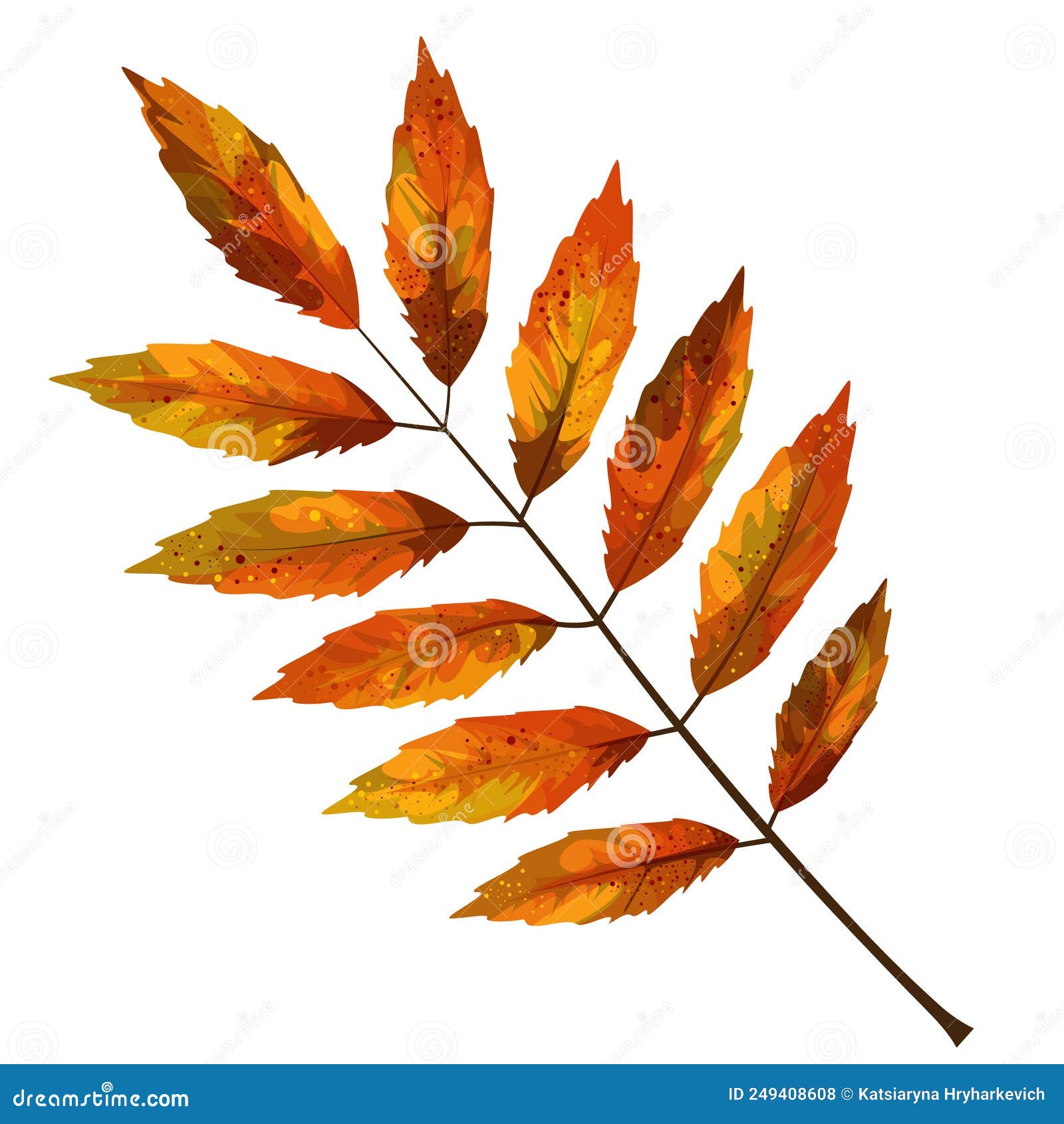 Vector Realism of a Stylized Autumn Leaf on a White BackgroundCartoon ...