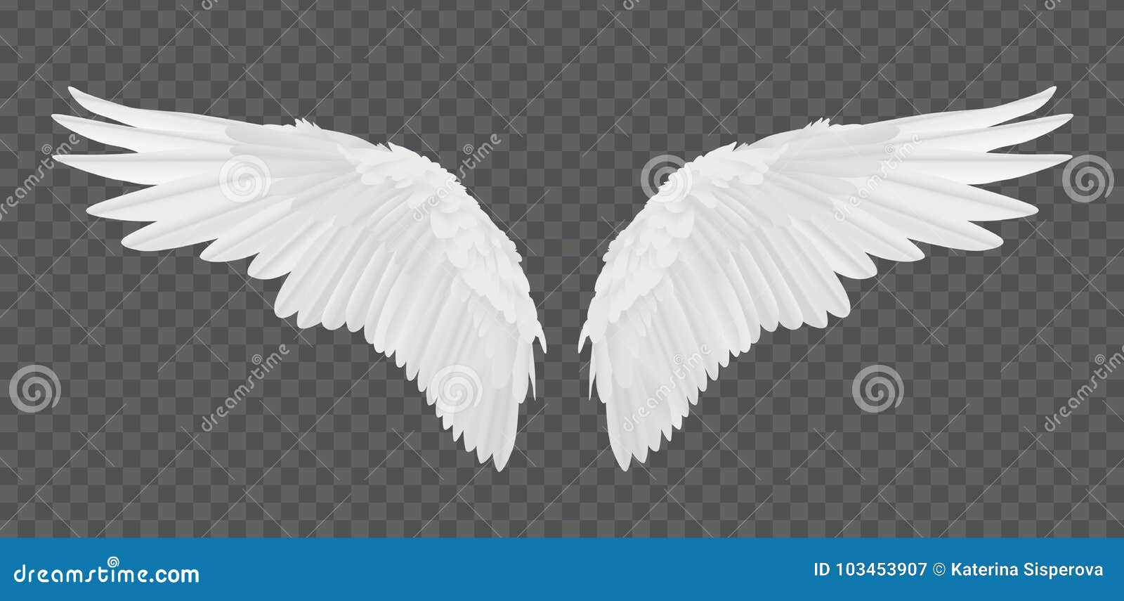  realistic angel wings  on transparent background