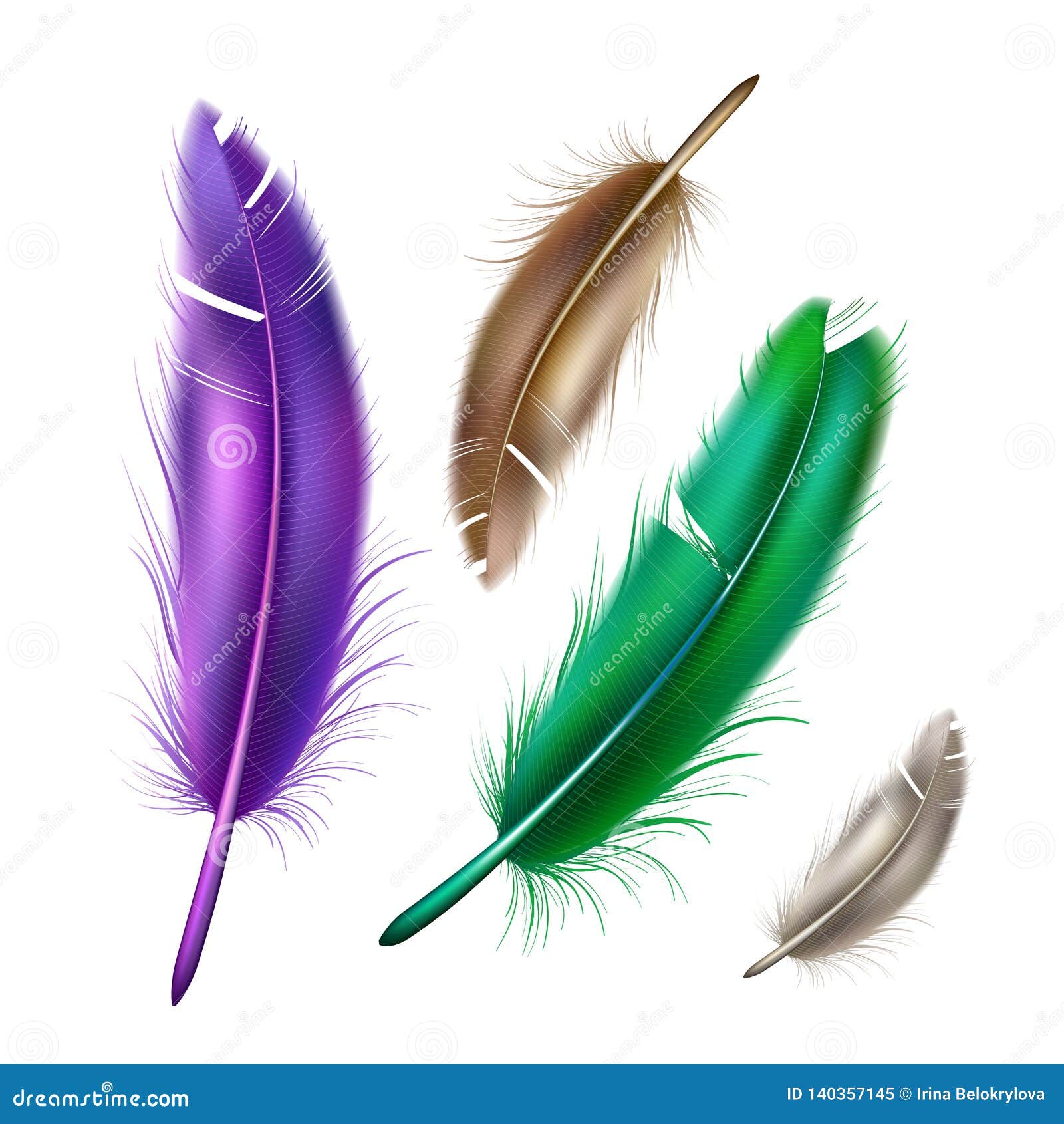 Realistic beautiful peacock feather Royalty Free Vector