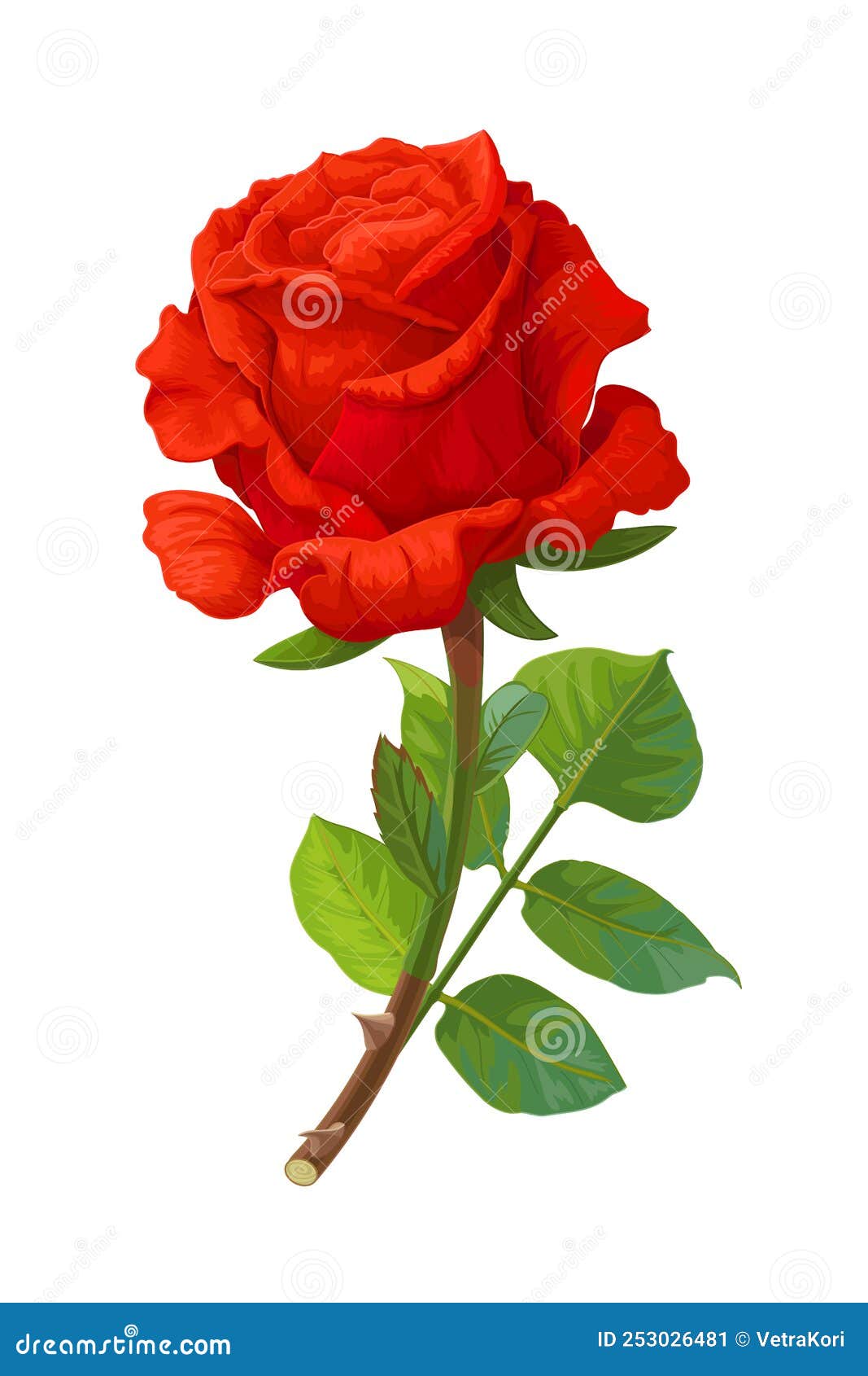 Vector Realistic Rose Flower Art Stock Illustration Illustration of