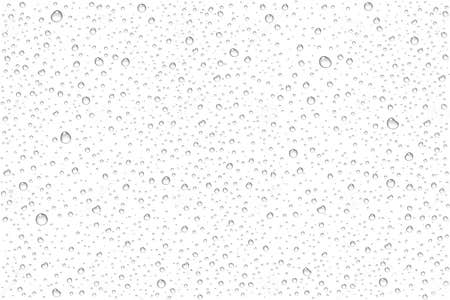 Vector Realistic Water Drops Condensed Stock Vector - Illustration of ...