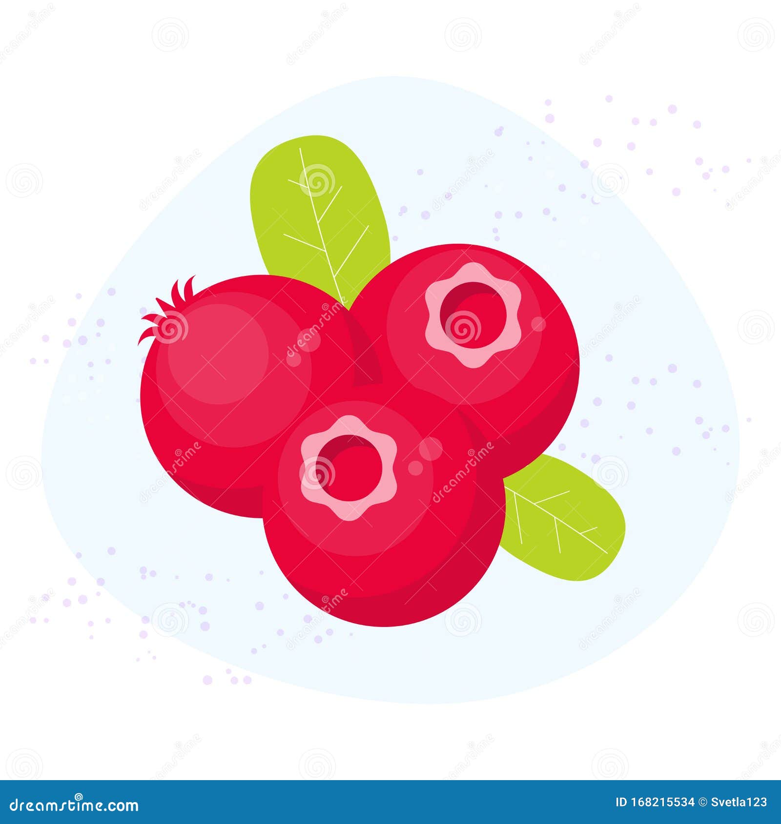 Vector Cranberry Icon. Flat Cartoon Berry Illustration Stock Vector Illustration of vector