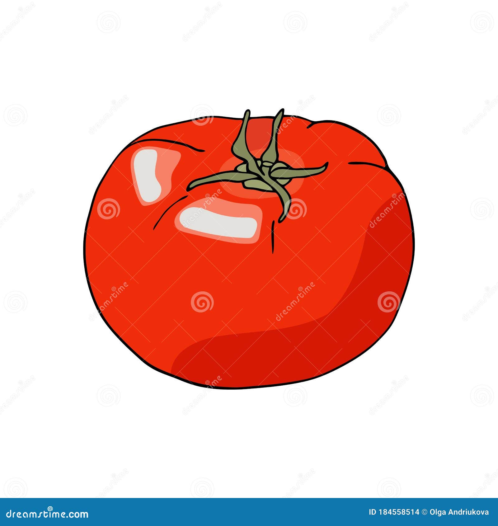Vector Red Tomato. Whole Fresh Tomato Vegetable Isolated on White Background. Food Ingredient Cartoon Doodle Drawing Stock Vector - Illustration of design, fresh: 184558514 Vector Red Tomato. Whole Fresh Tomato Vegetable Isolated on White Background. Food Ingredient Cartoon Doodle Drawing Stock Vector - Illustration of design, fresh: 184558514