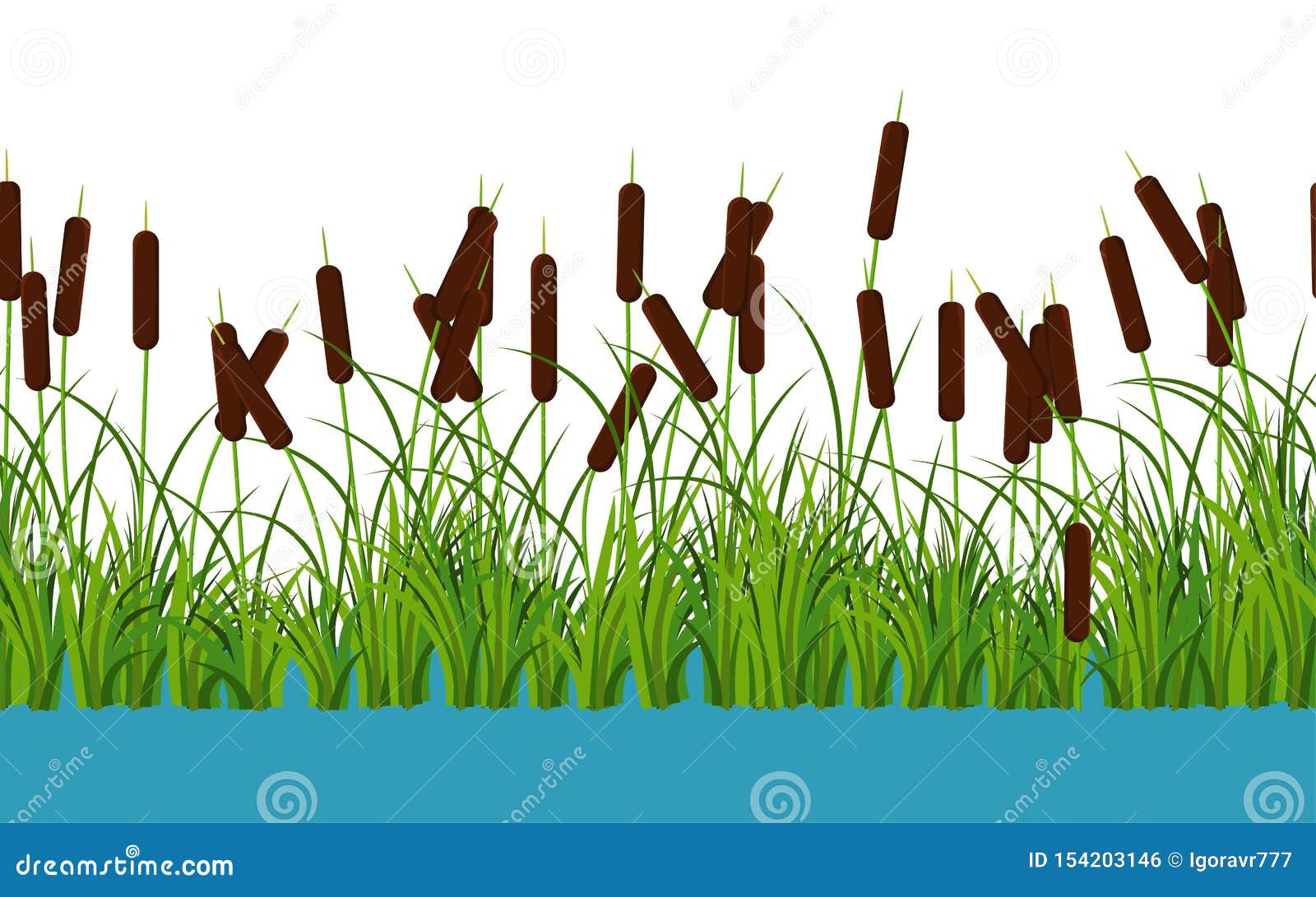Vector Set Of Reed Stalk Bushes In Swamp Water Isolated On Transparent
