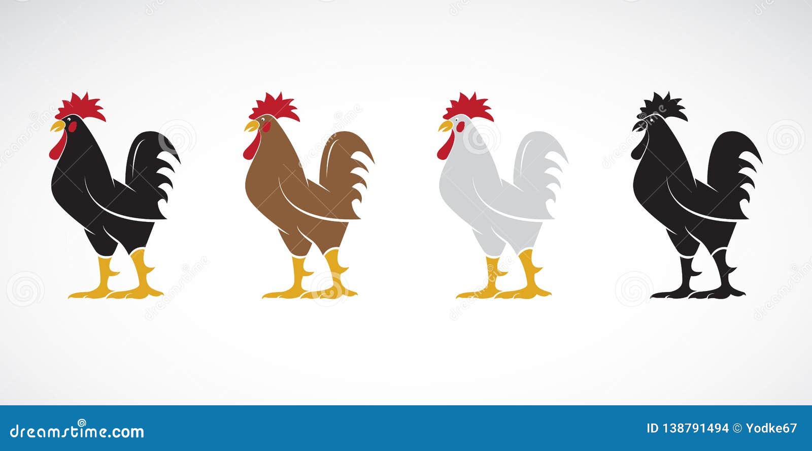 Download Vector Of Rooster Or Design On White Background. Animal ...