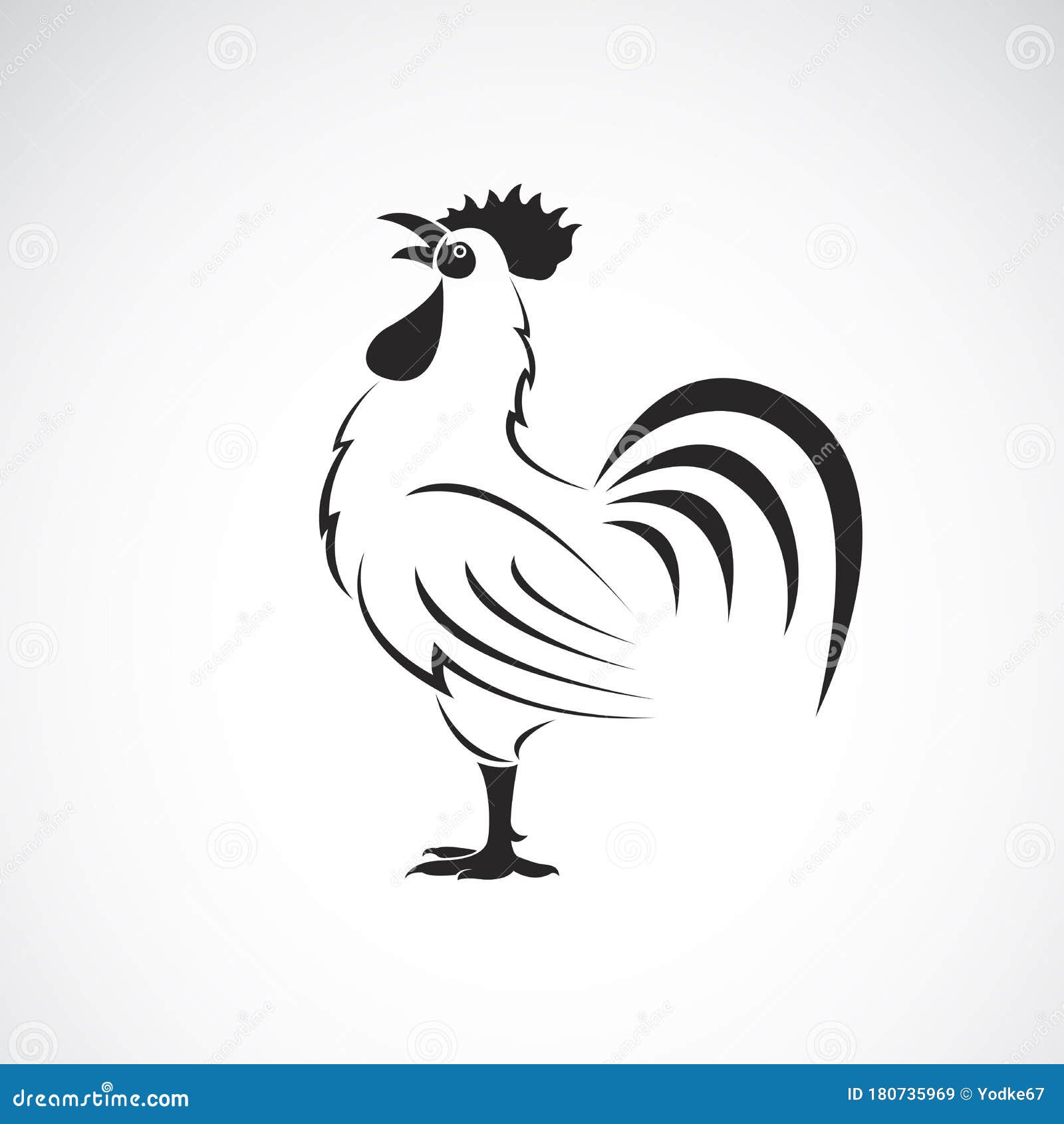 Download Vector Of Rooster Or Design On White Background. Farm ...