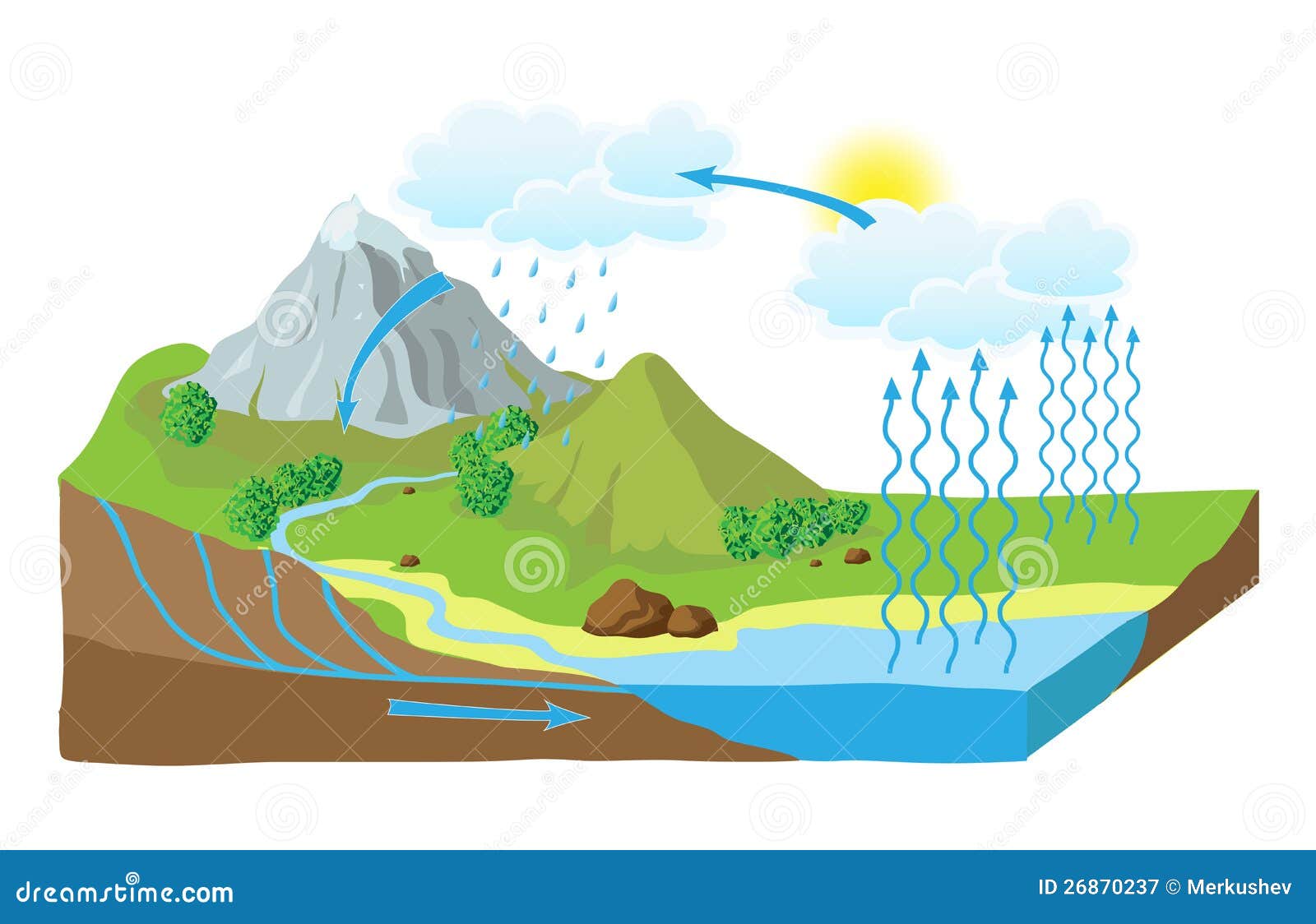  schema of the water cycle in nature