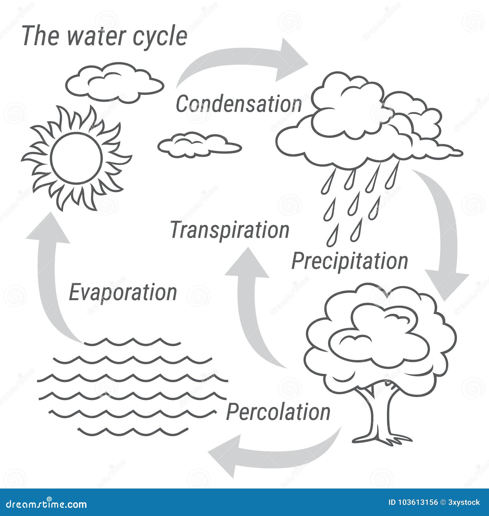 Water Cycle Stock Illustrations – 10,391 Water Cycle Stock Illustrations,  Vectors & Clipart - Dreamstime