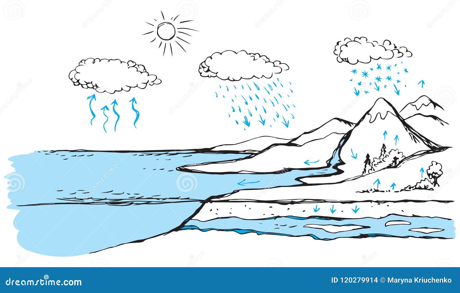 Water Cycle Clip Art Black And White
