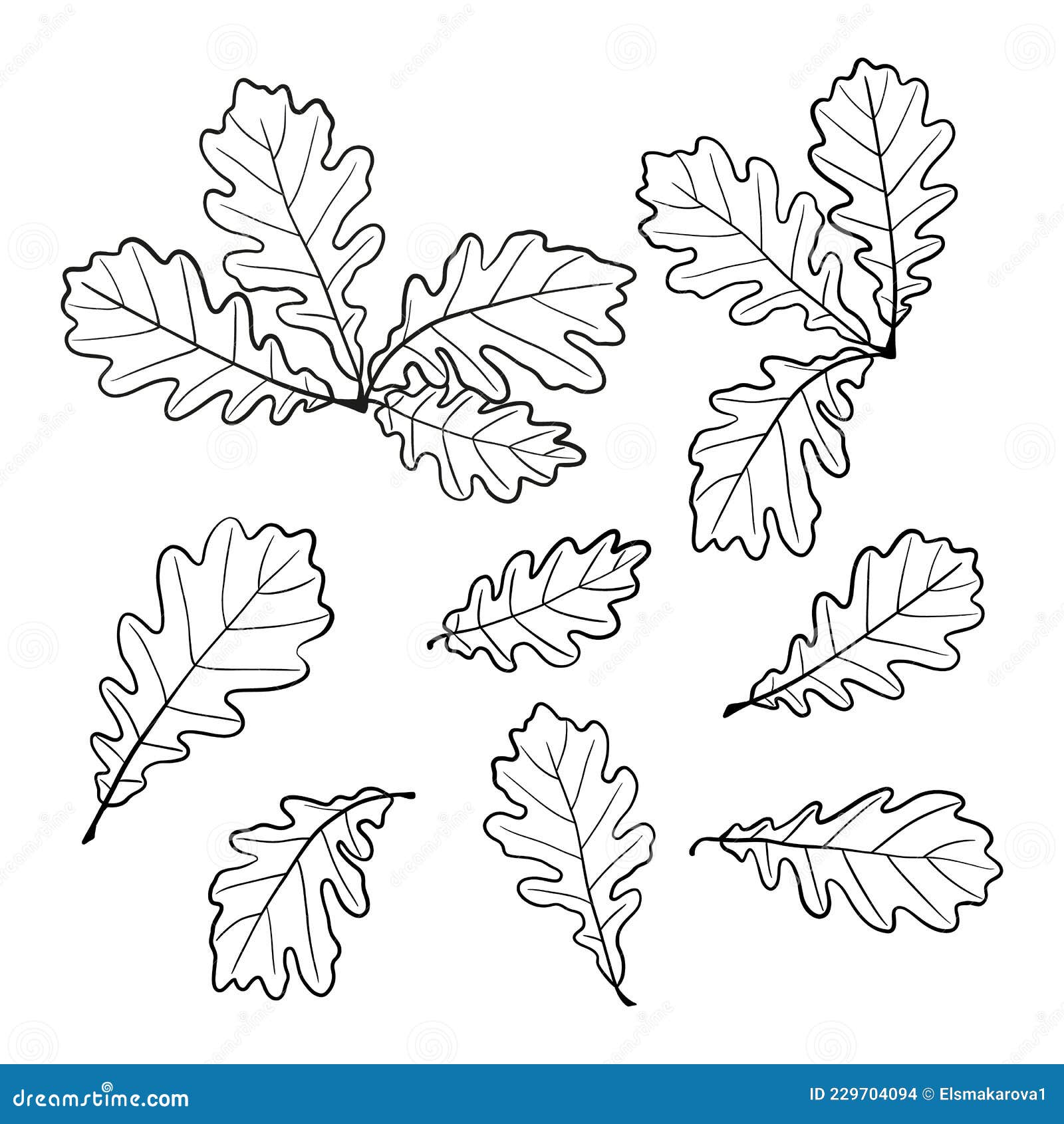 Vector Seamless Pattern of Bright Oak Leaves on a White Background
