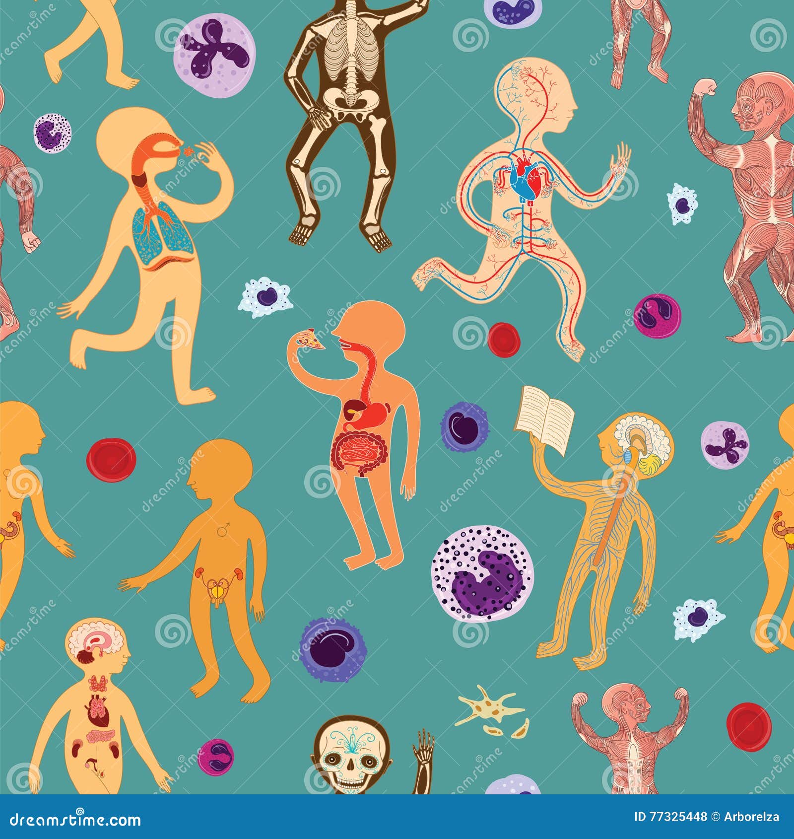 Vector Seamless Pattern with Illustration of Human Anatomy Stock
