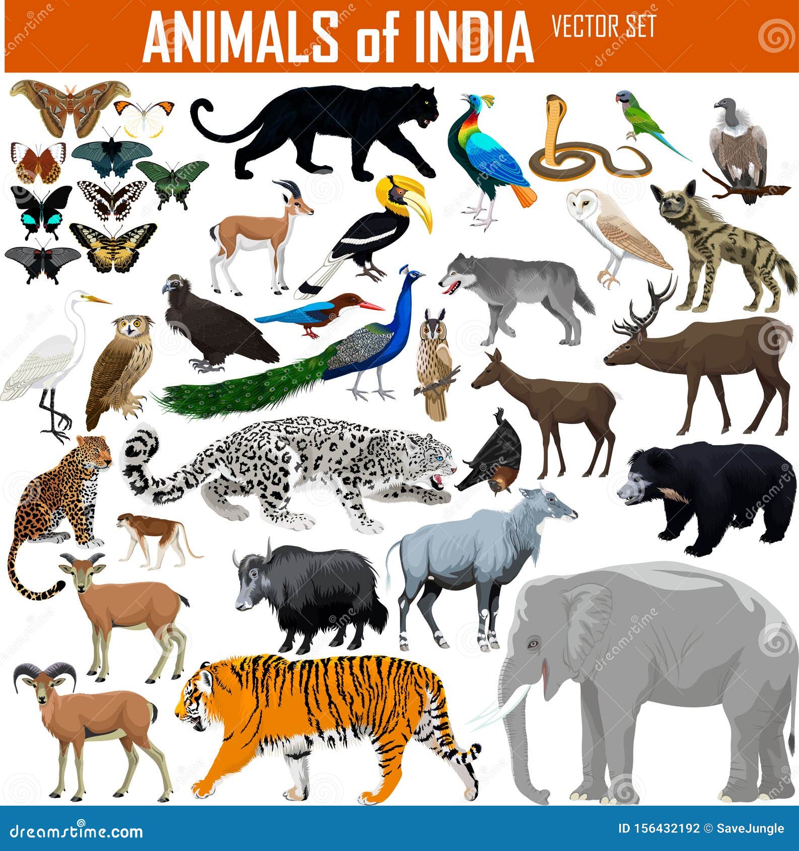 Vector Set Of Animals Of India Stock Vector Illustration Of Leopard vector-set-of-animals-of-india-stock-vector-illustration-of-leopard