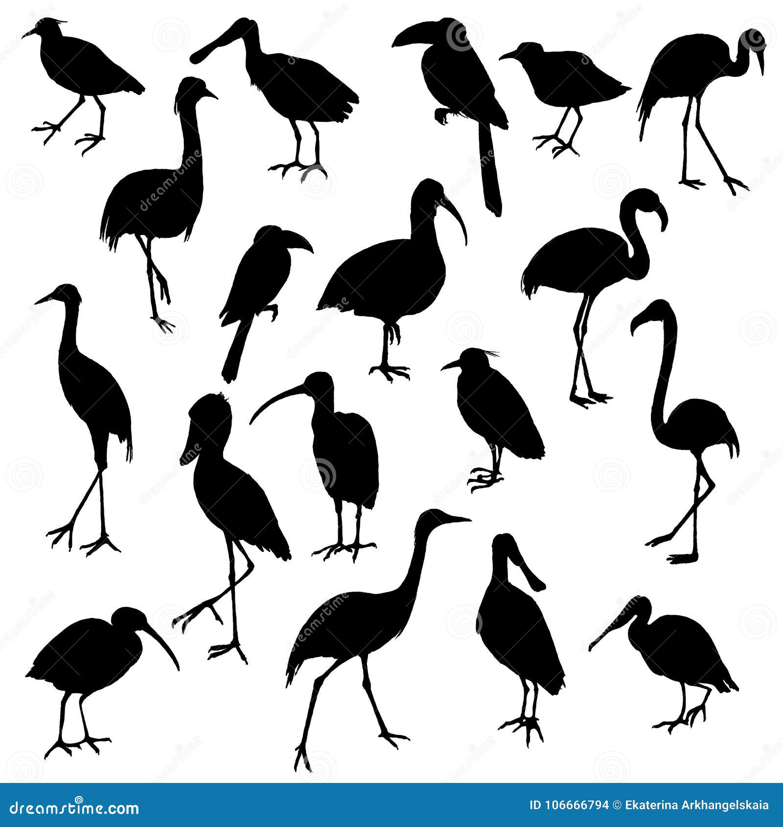 Vector set of birds stock vector. Illustration of vector - 106666794