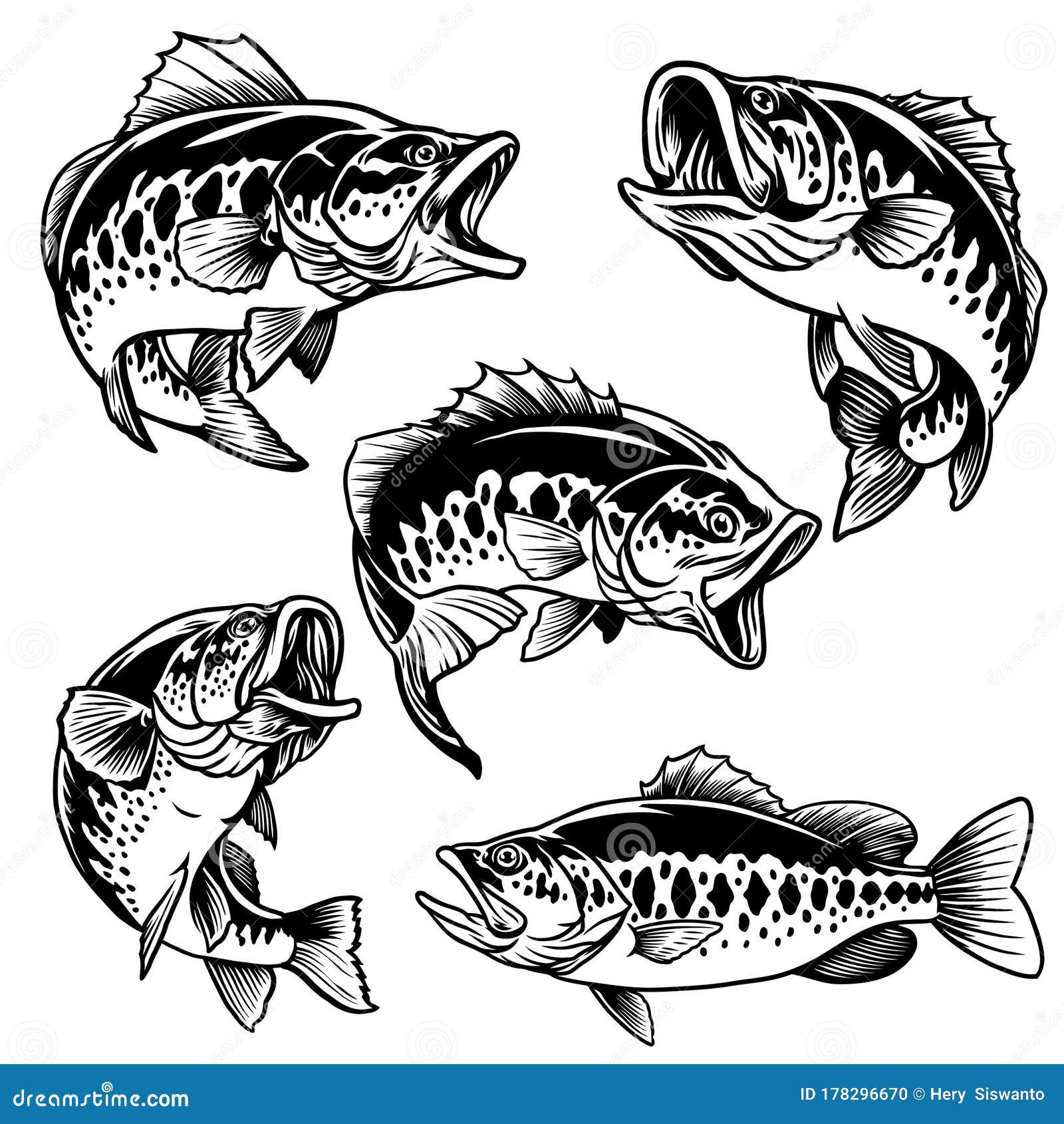set of black and white of largemouth bass fish