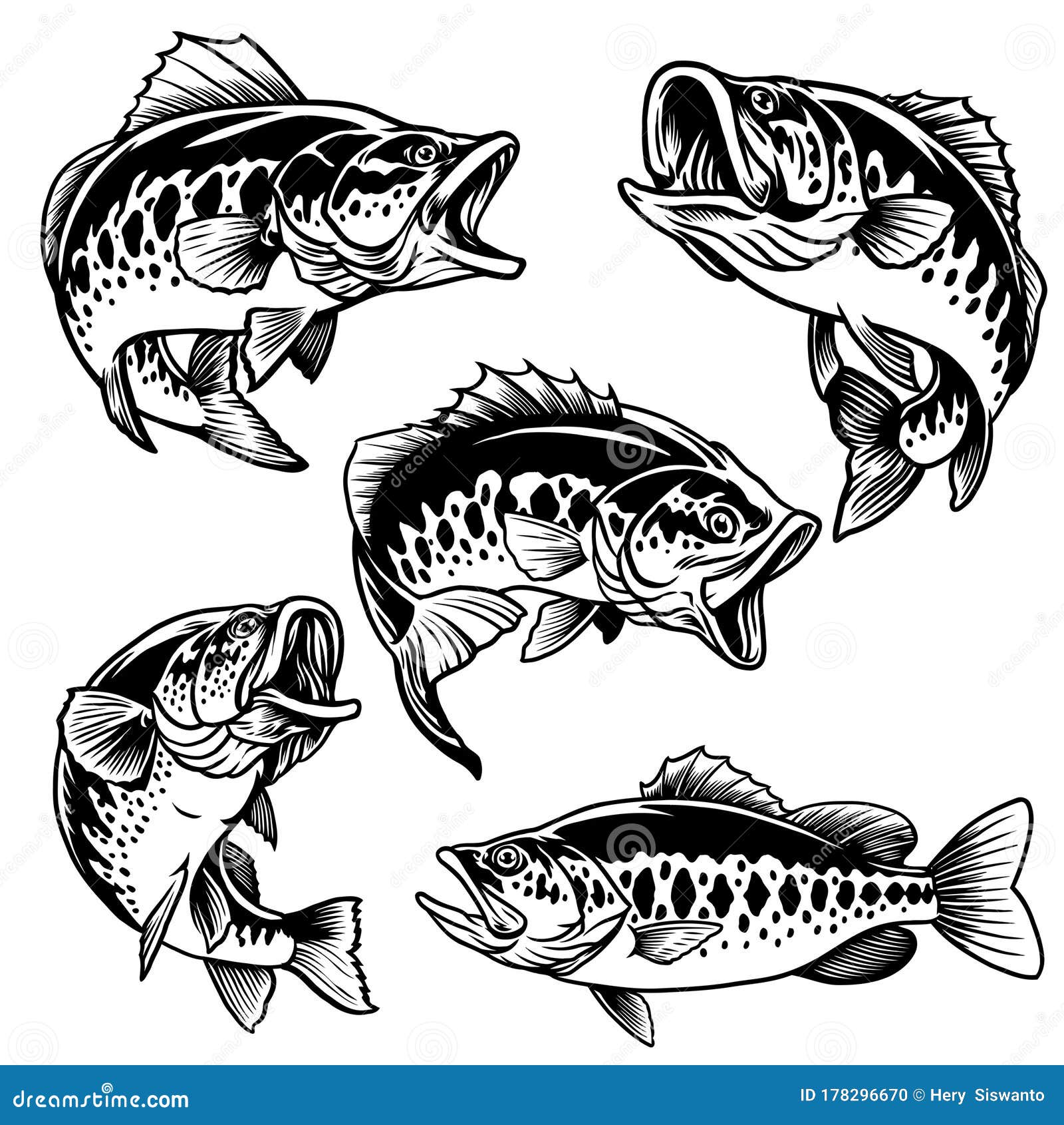 Bass Stock Illustrations – 114,820 Bass Stock Illustrations, Vectors &  Clipart - Dreamstime