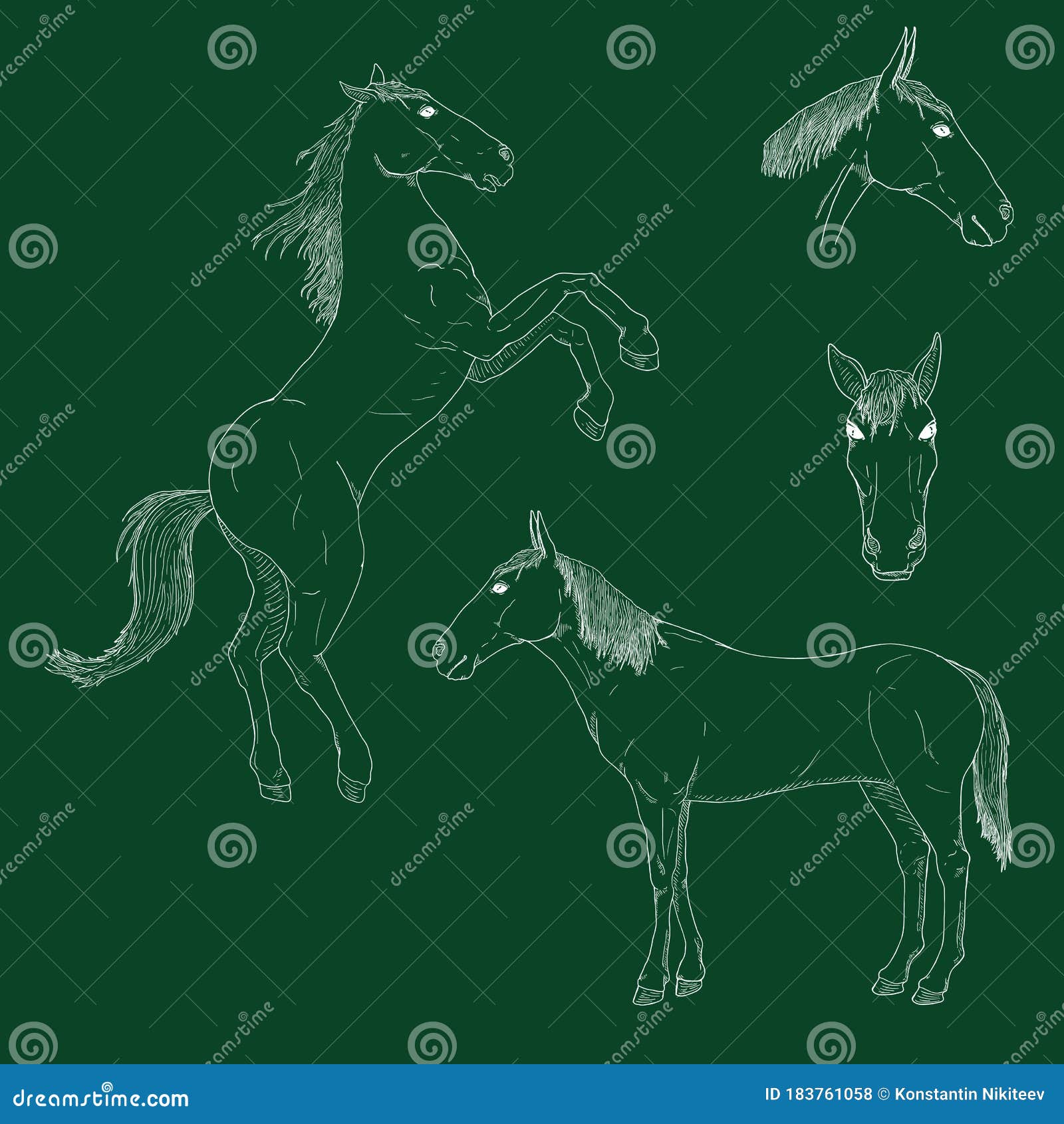 Vector Set of Chalk Sketch Horses Stock Vector Illustration of sketch