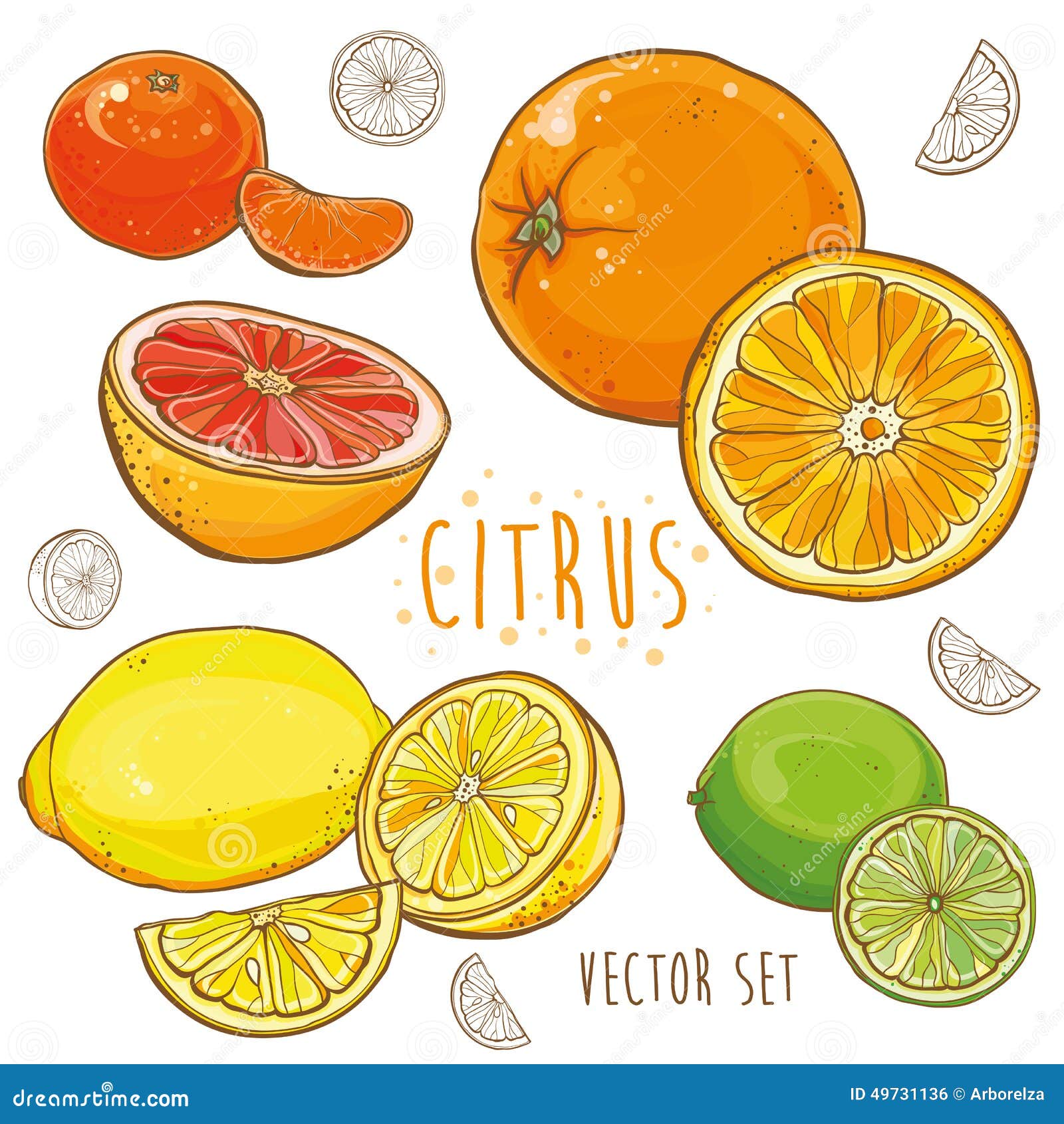  set with citrus fruit: lemon, lime, orange, tangerine