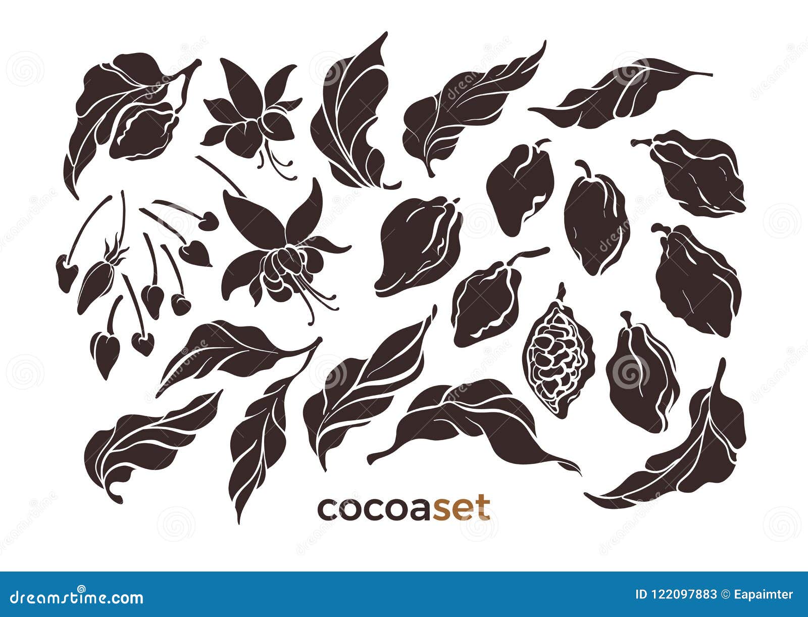 Cocoa Pod And Leaf - The Upper Bar- Vector | CartoonDealer.com #49479803