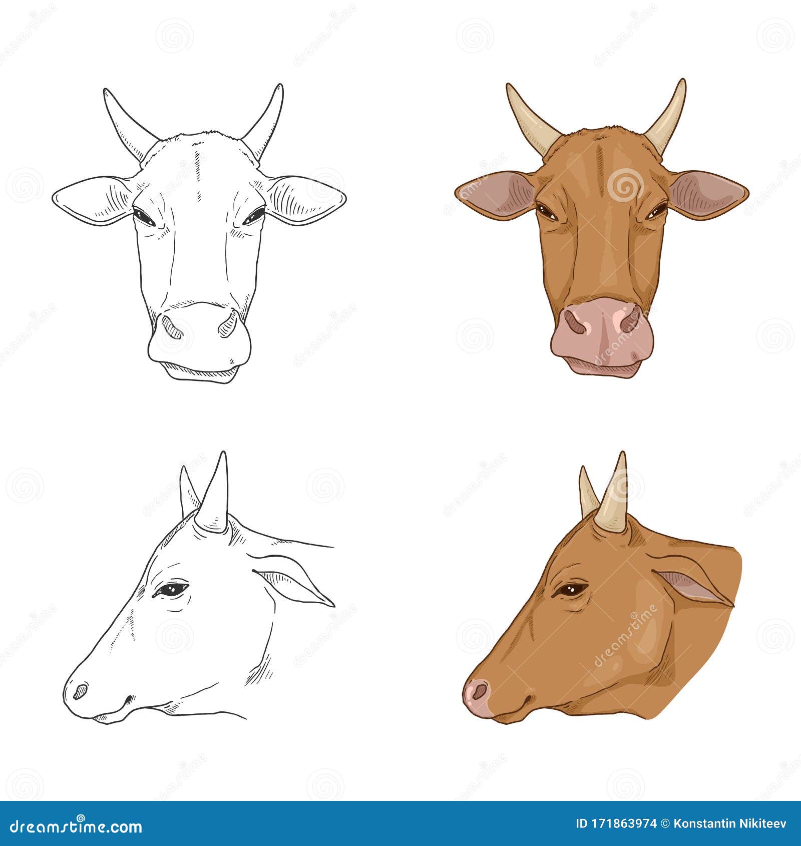 Vector Set of Cow Head Illustrations Stock Vector Illustration of