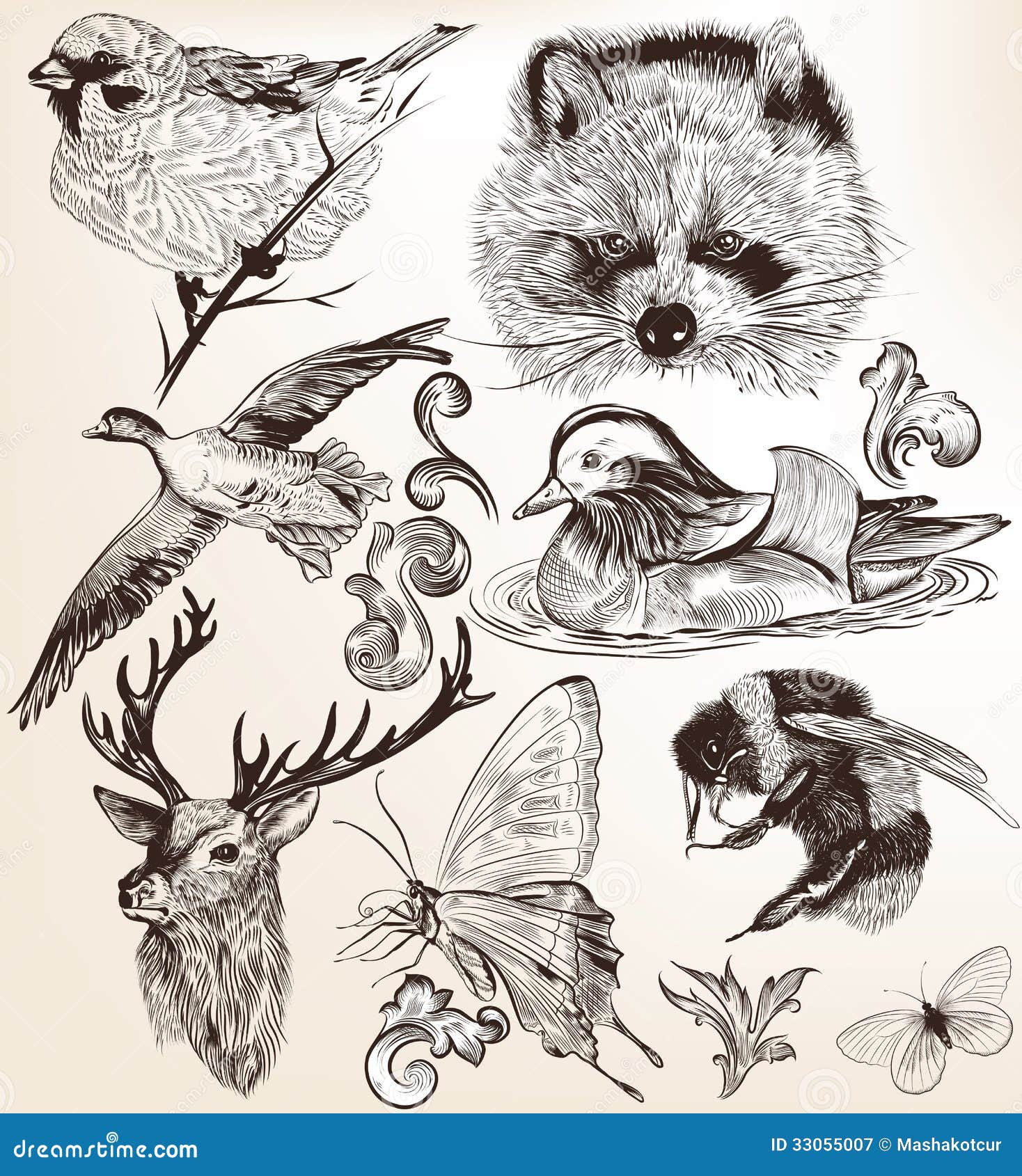 Vector Set Of Detailed Hand Drawn Animals In Vintage Style Royalty Free
