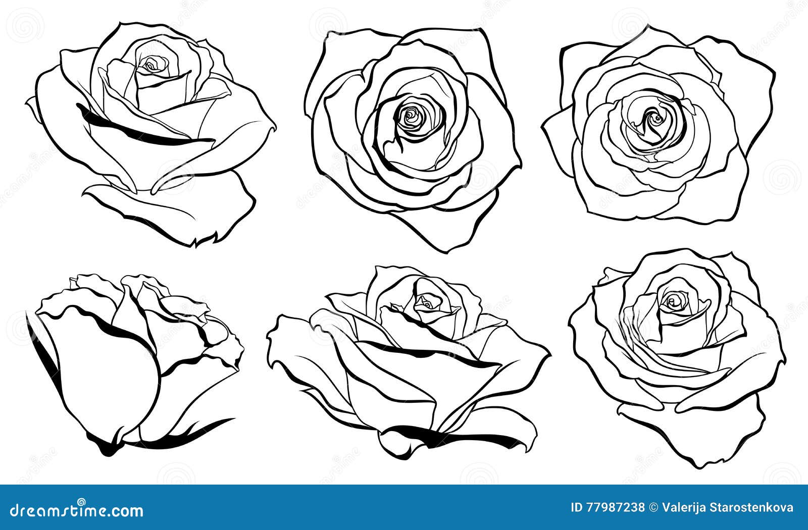  set of detailed,  outline rose bud sketches in black color.