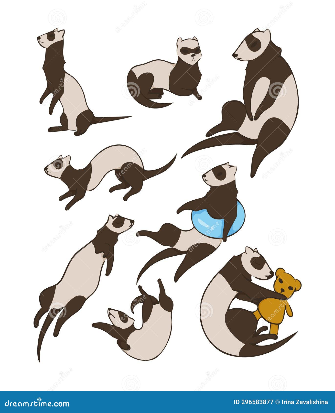 Vector Set Of Ferrets. Different Poses. Illustration Isolated On White