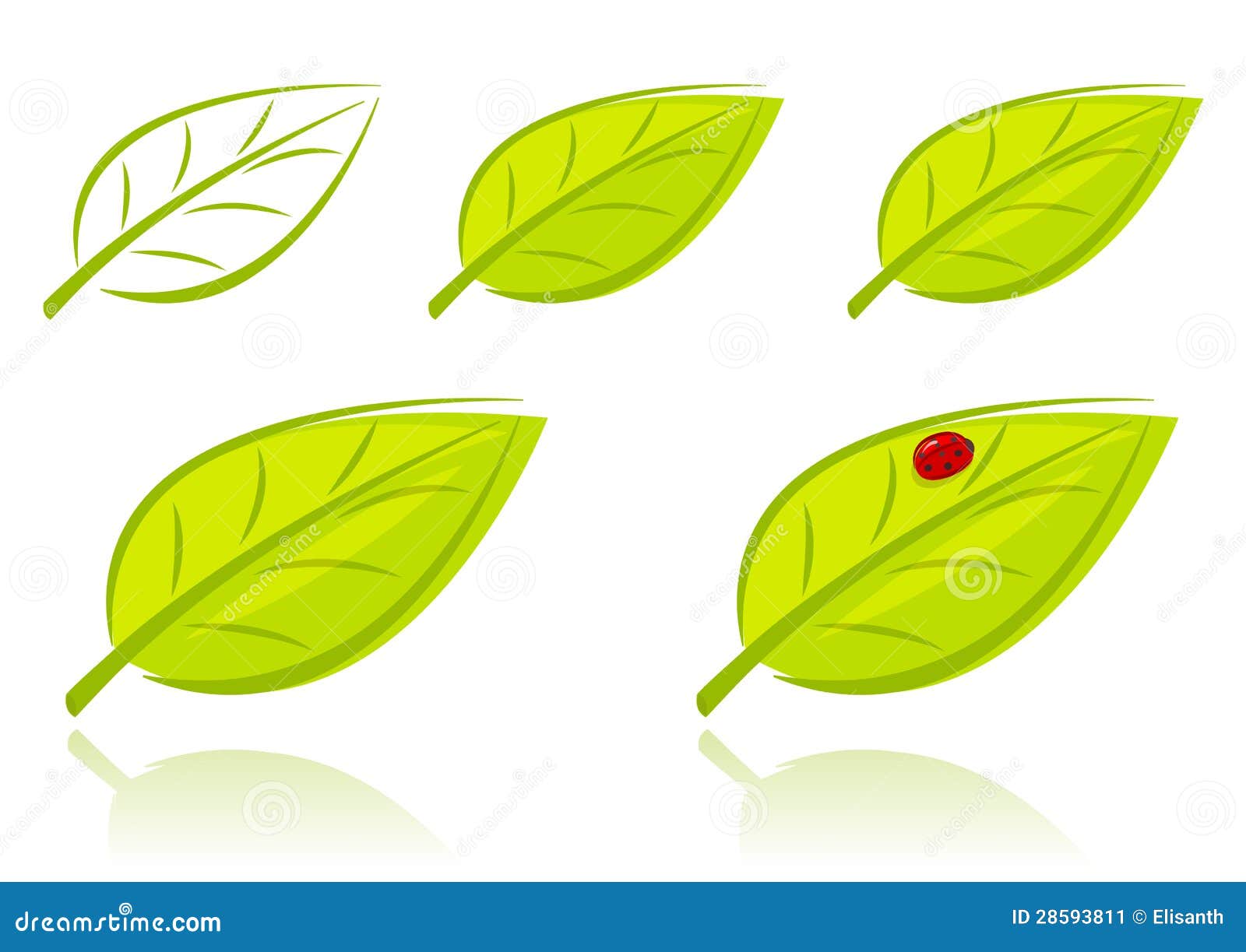 Vector Set Of Green Leaves Stock Vector Illustration Of Background 28593811