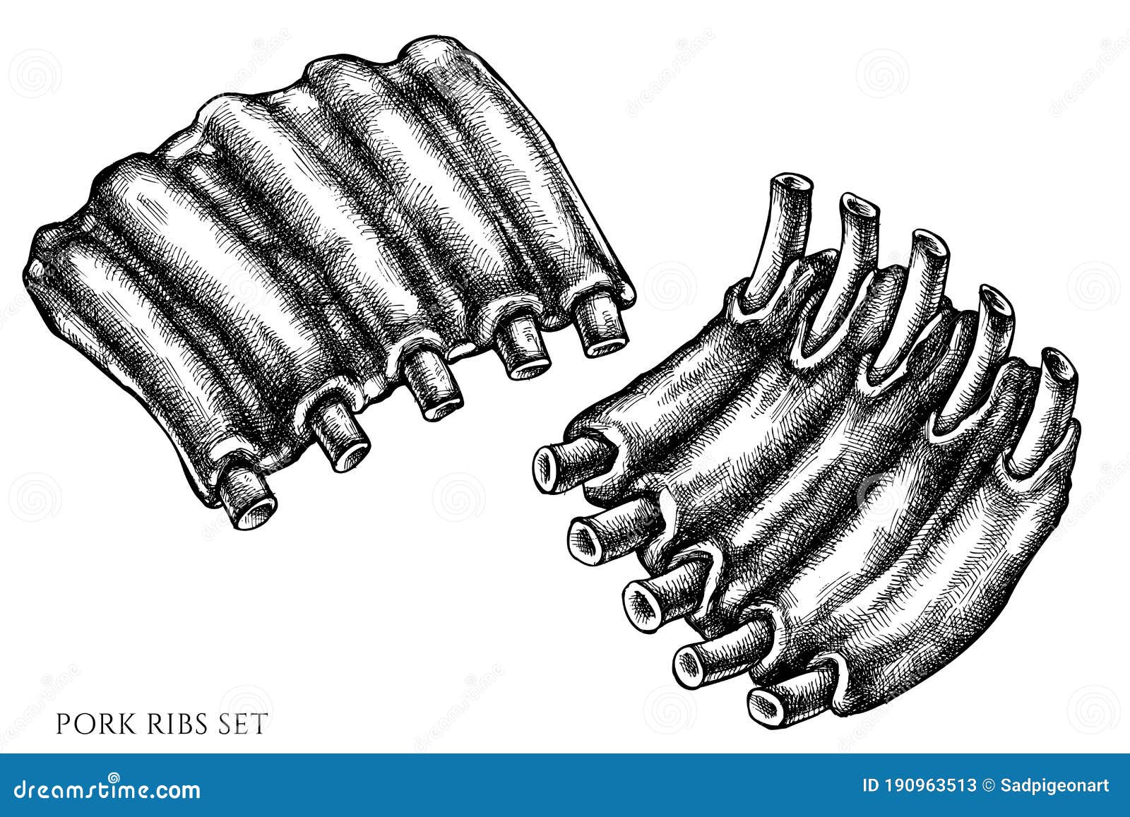 Vector Set of Hand Drawn Black and White Pork Ribs Stock Vector