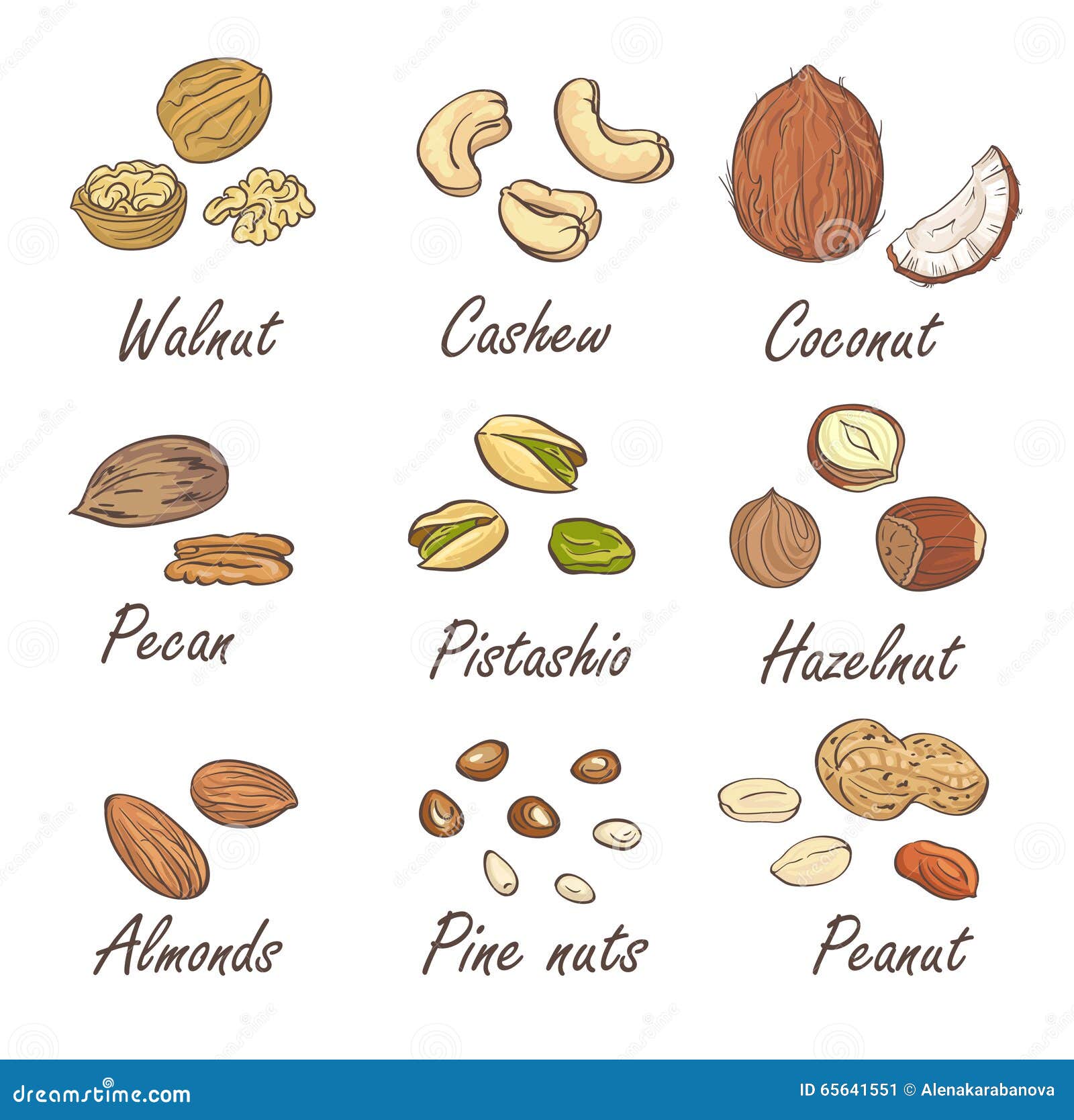  set of hand sketched nuts on white background in hand drawn style: hazelnut, almonds, peanuts