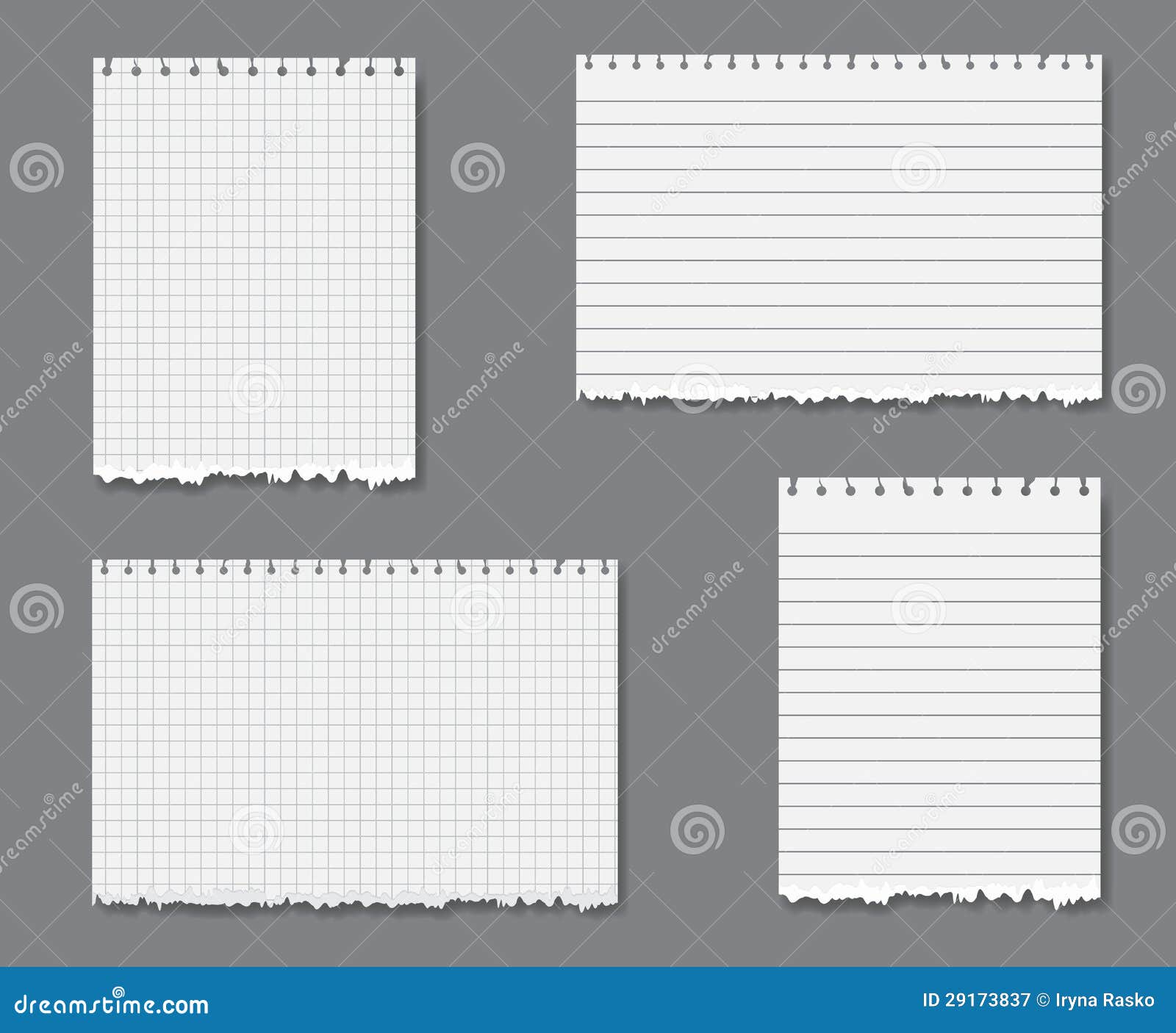  set with lined and graph paper