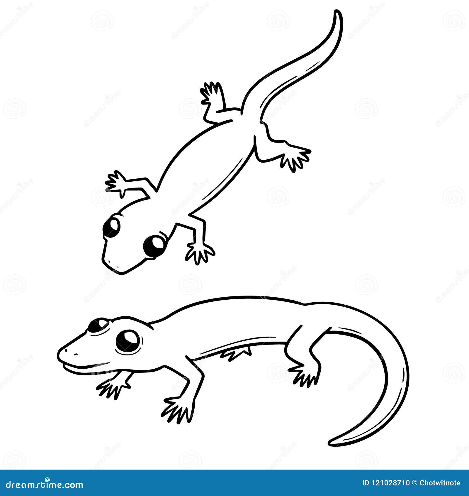 House Lizard Drawing