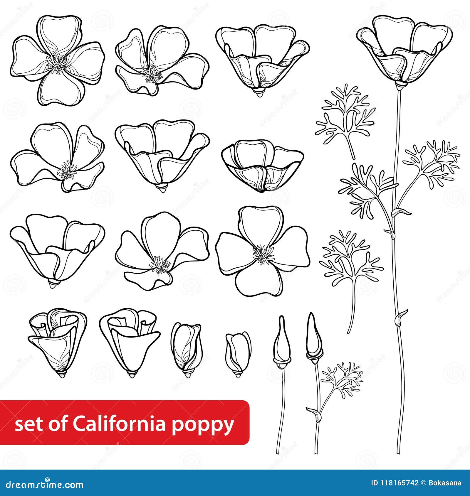 Poppy Flower Tattoo: Meanings & 30 Design Ideas - Nomi Chi