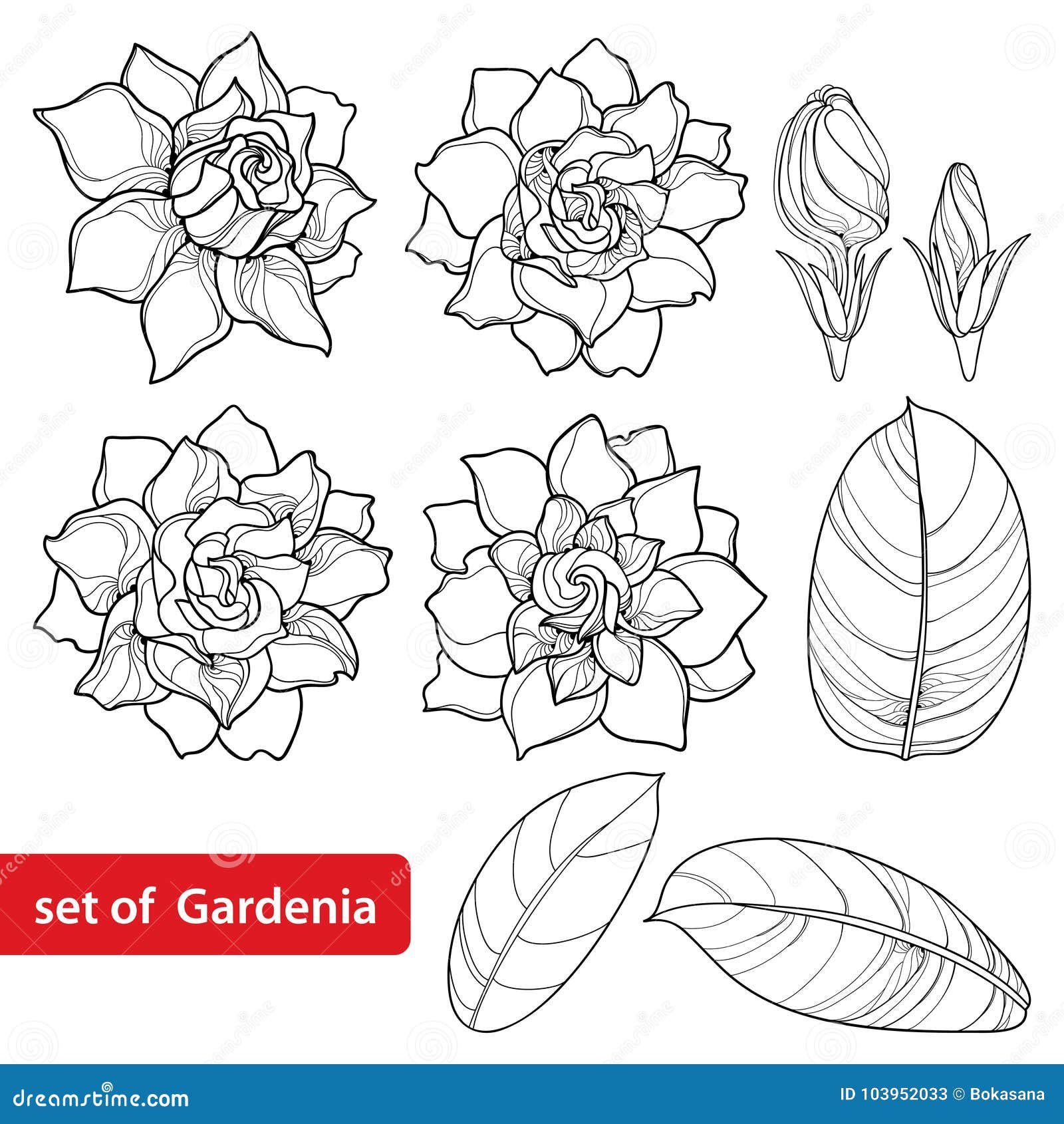 Gardenia tattoo 2 by Smaragdia on DeviantArt