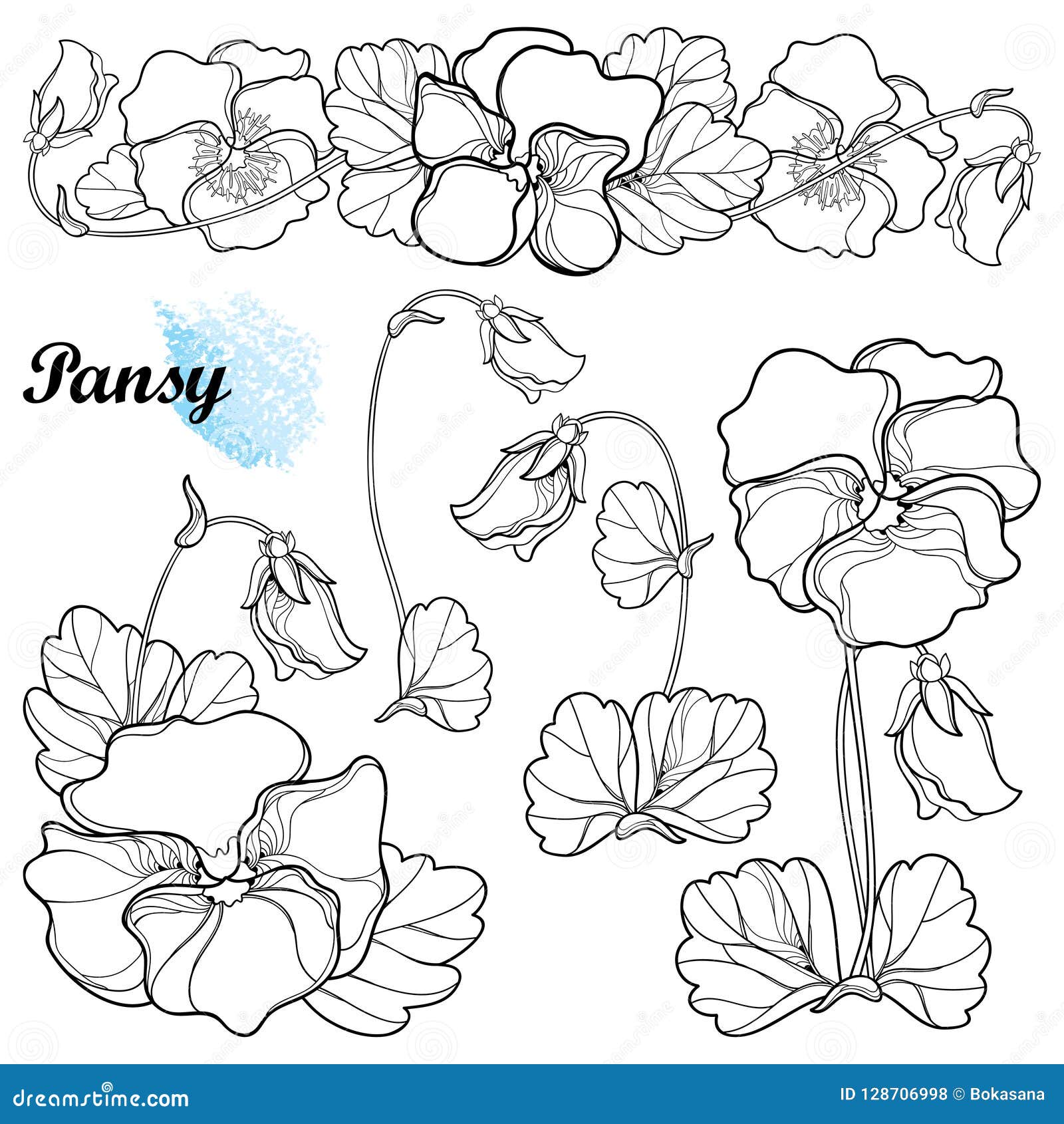  set with outline pansy or heartsease or viola tricolor flower, bud and ornate leaf in black  on white background.