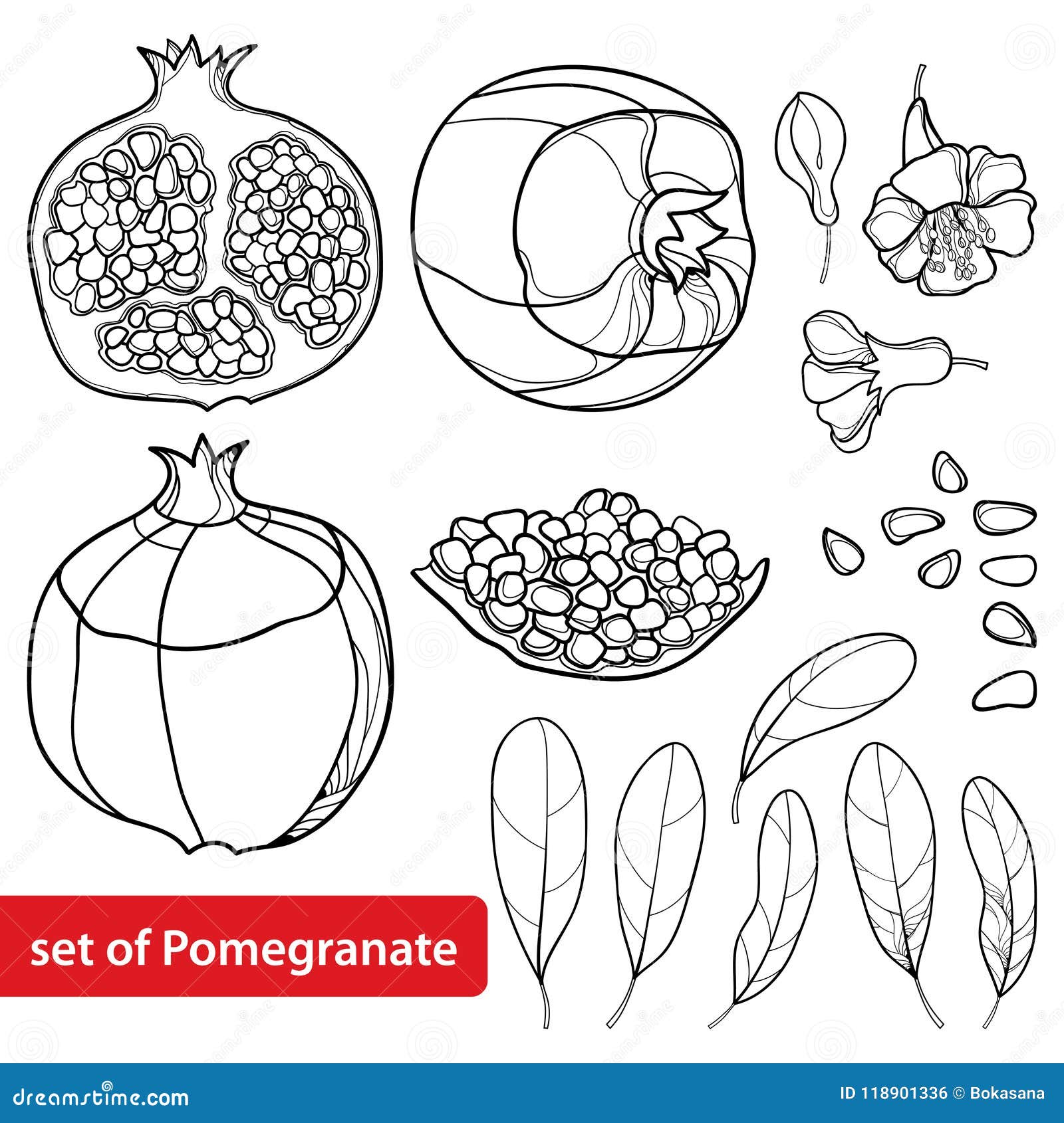 Контур граната фрукт с листочками